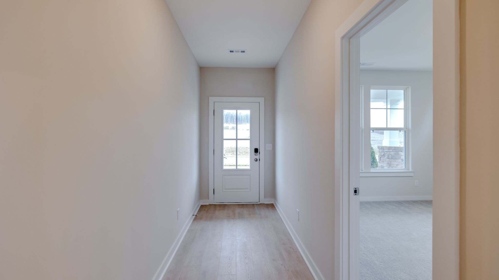 4158 Dream Beetle Loop