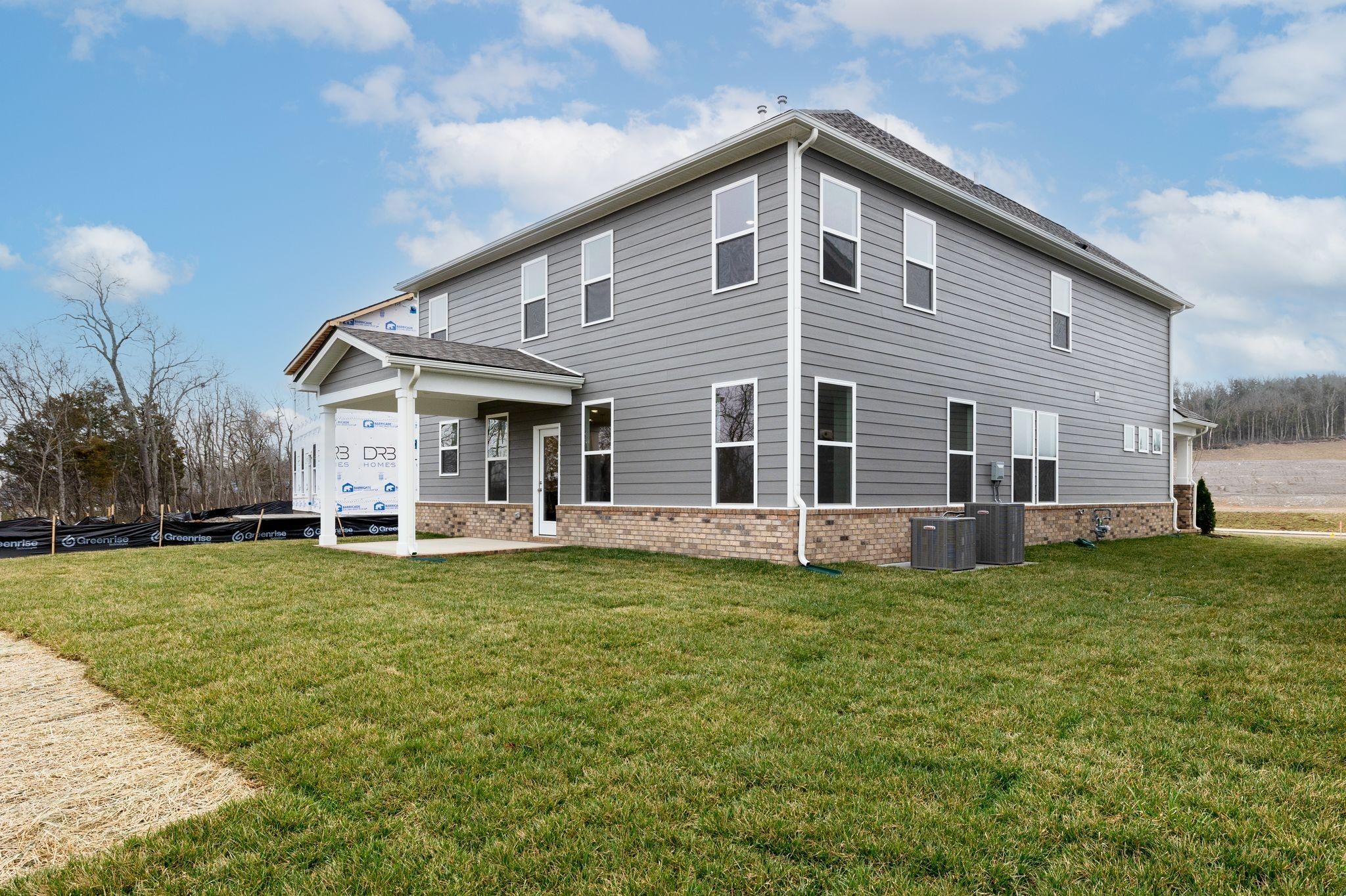 4158 Dream Beetle Loop