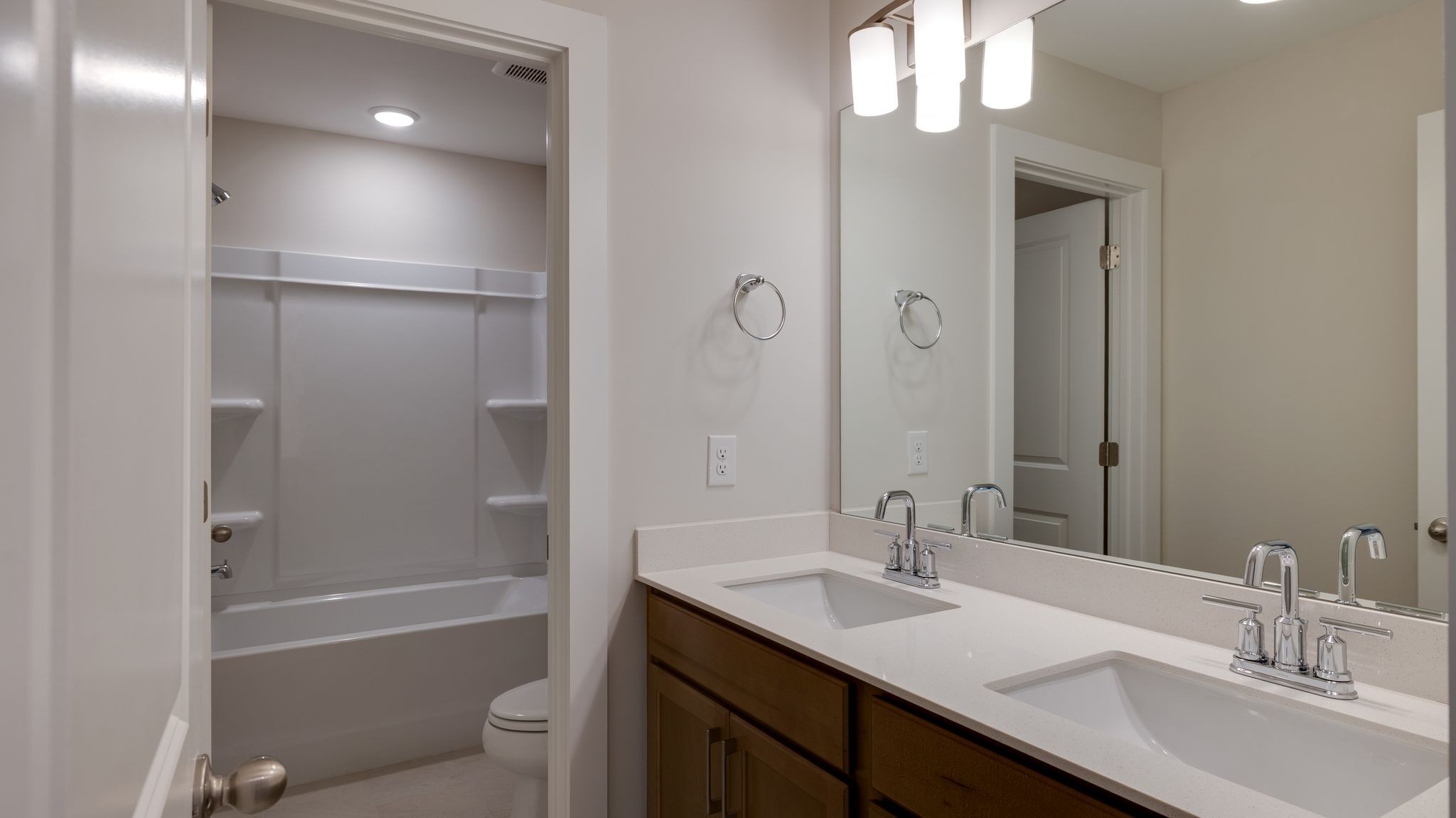 4158 Dream Beetle Loop