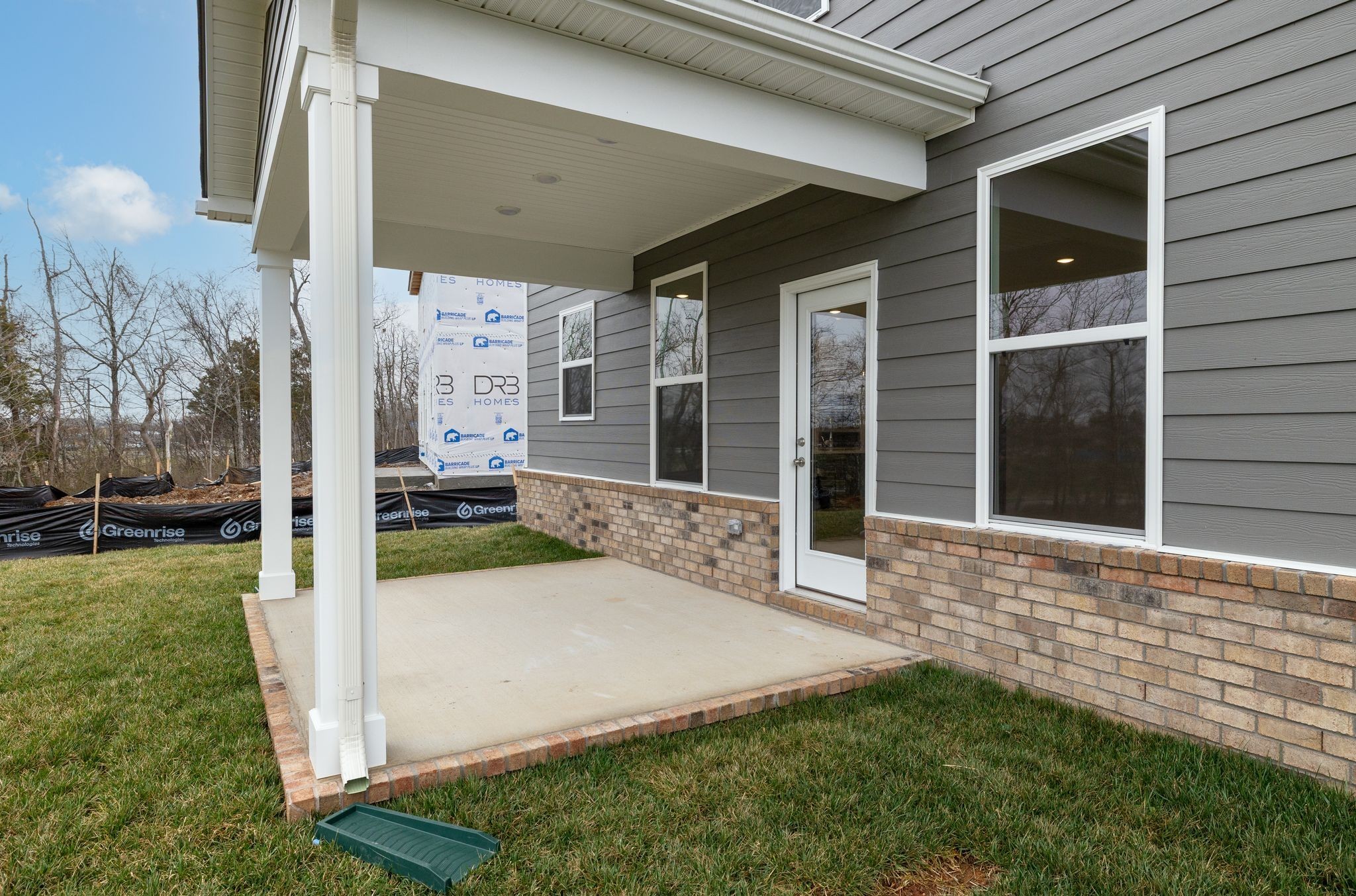 4158 Dream Beetle Loop