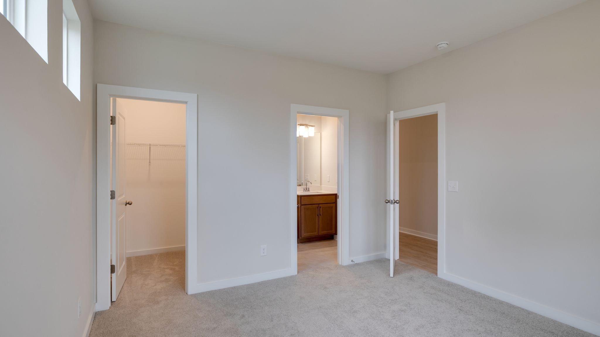 4158 Dream Beetle Loop