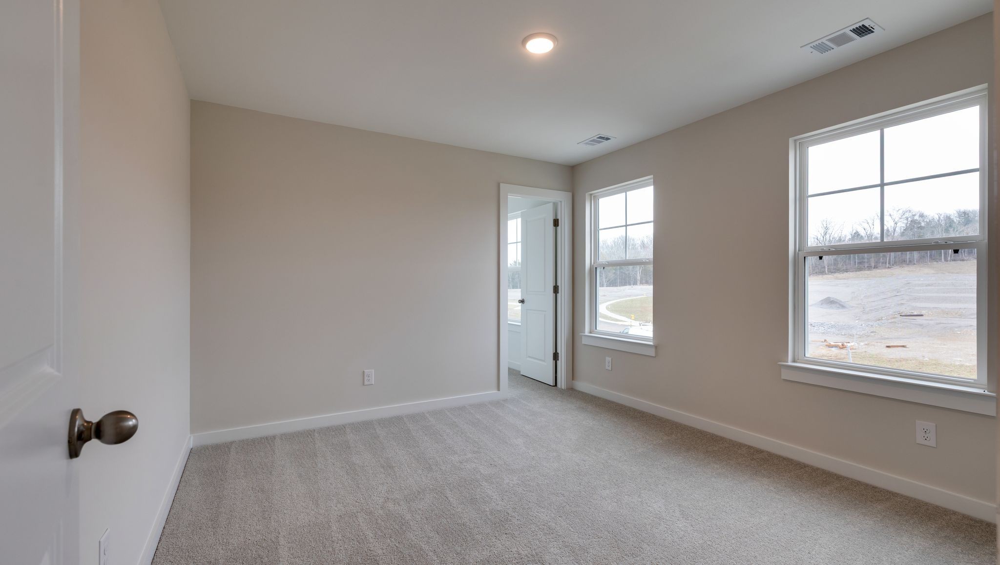 4158 Dream Beetle Loop