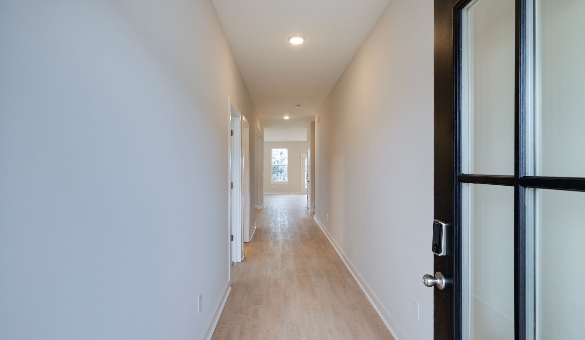 4158 Dream Beetle Loop