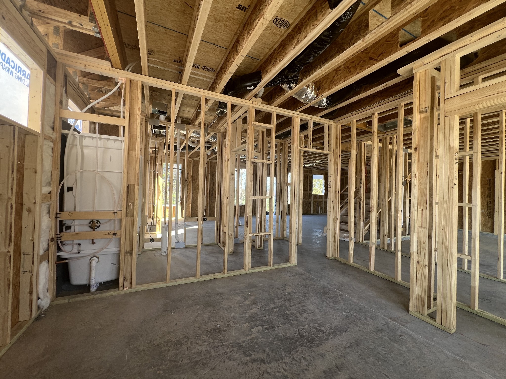 4150 Dream Beetle Loop