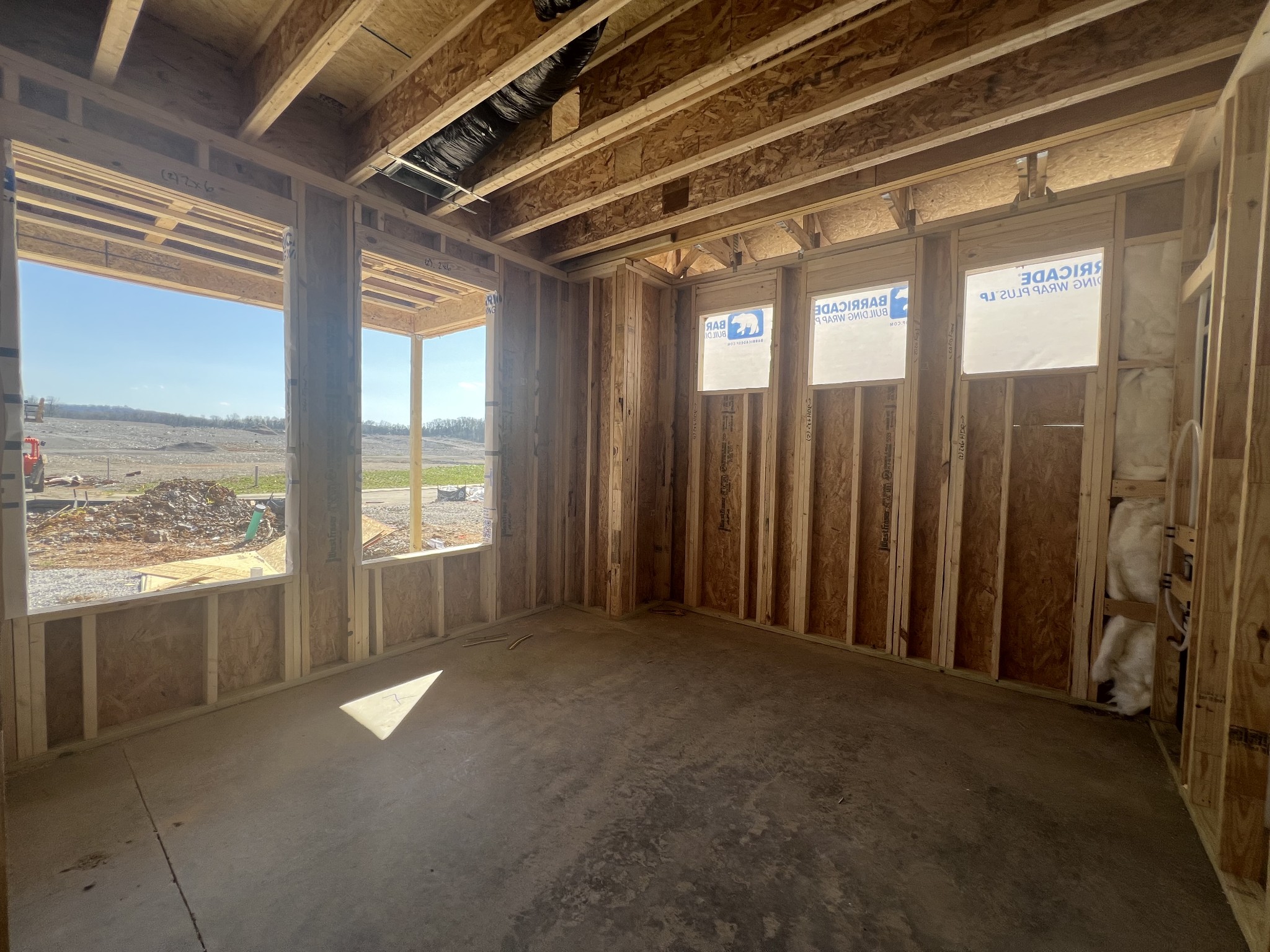 4150 Dream Beetle Loop