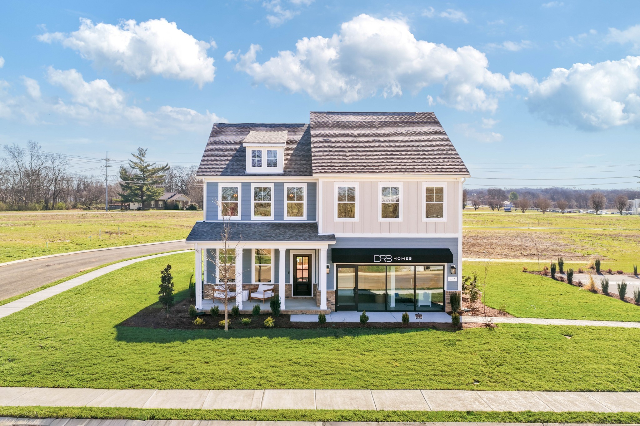 4150 Dream Beetle Loop