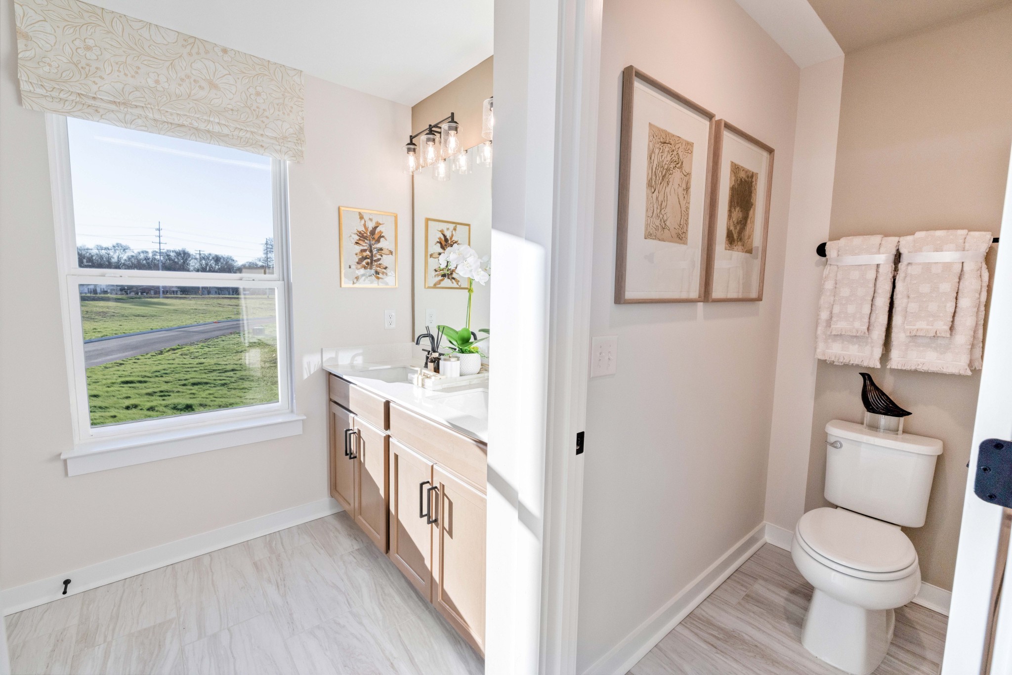 4150 Dream Beetle Loop