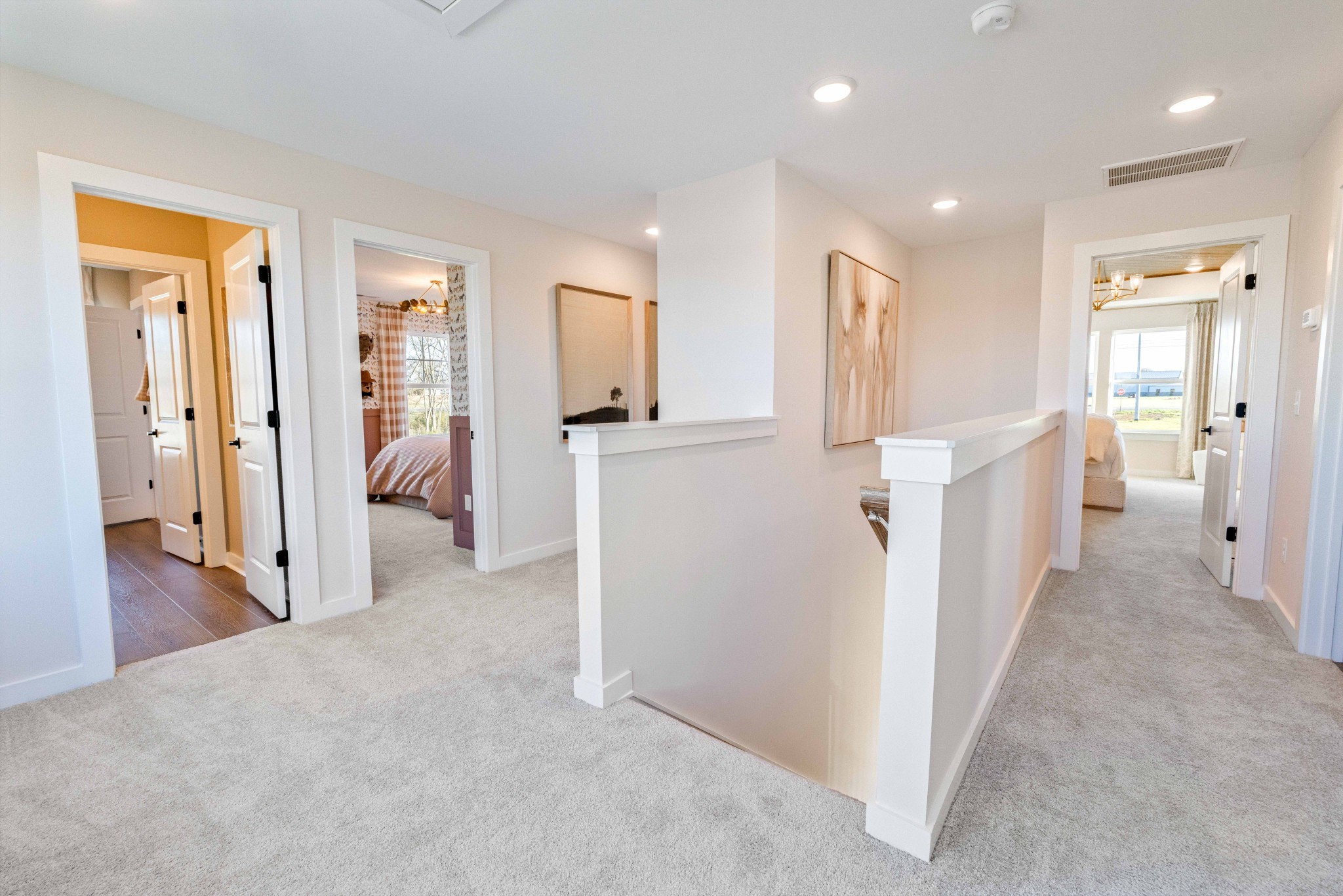 4150 Dream Beetle Loop