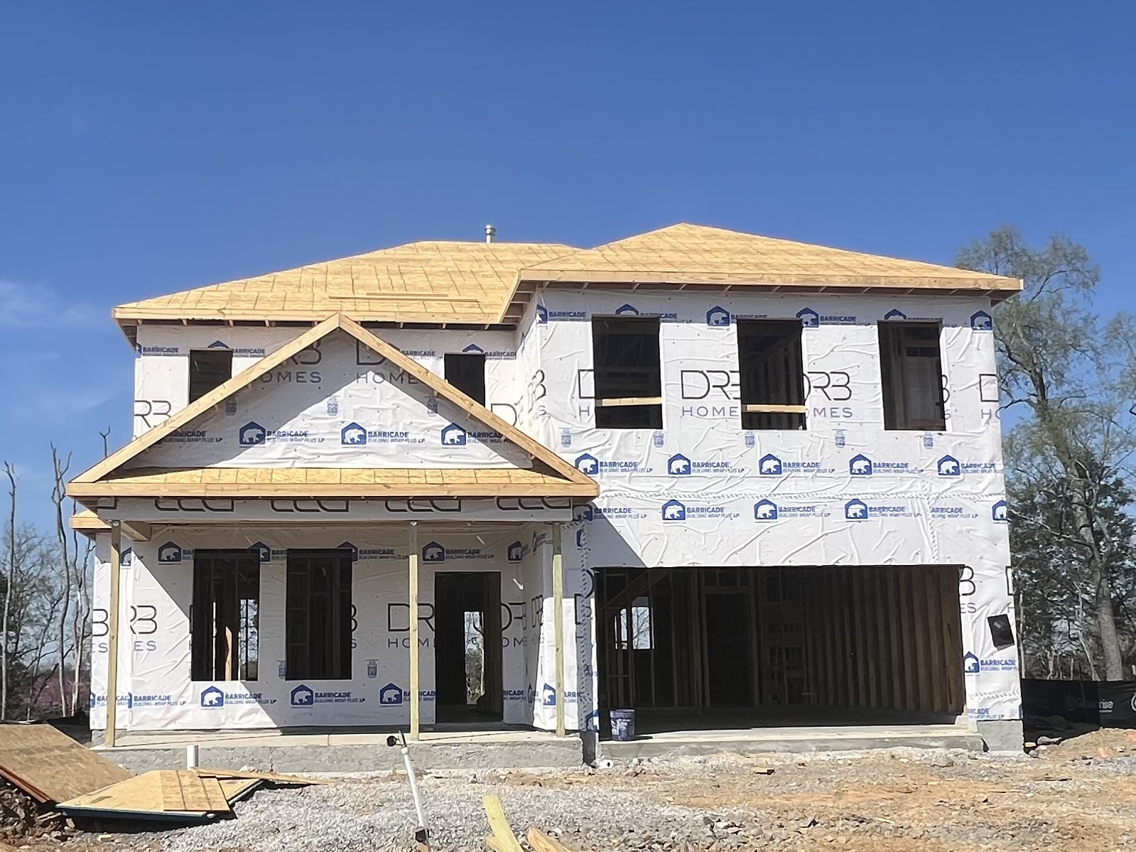 4150 Dream Beetle Loop