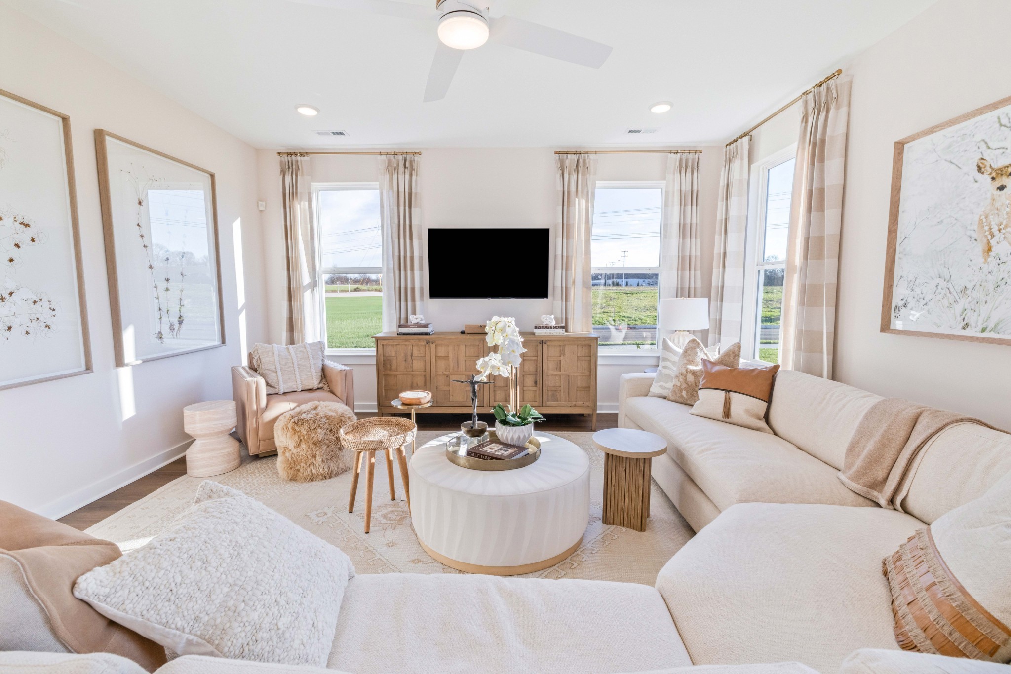 4150 Dream Beetle Loop