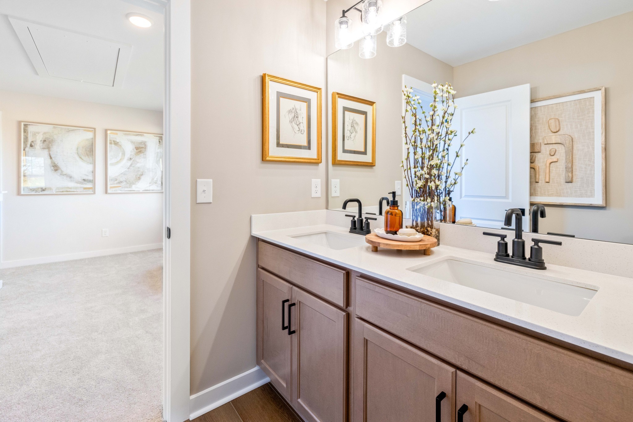 4150 Dream Beetle Loop