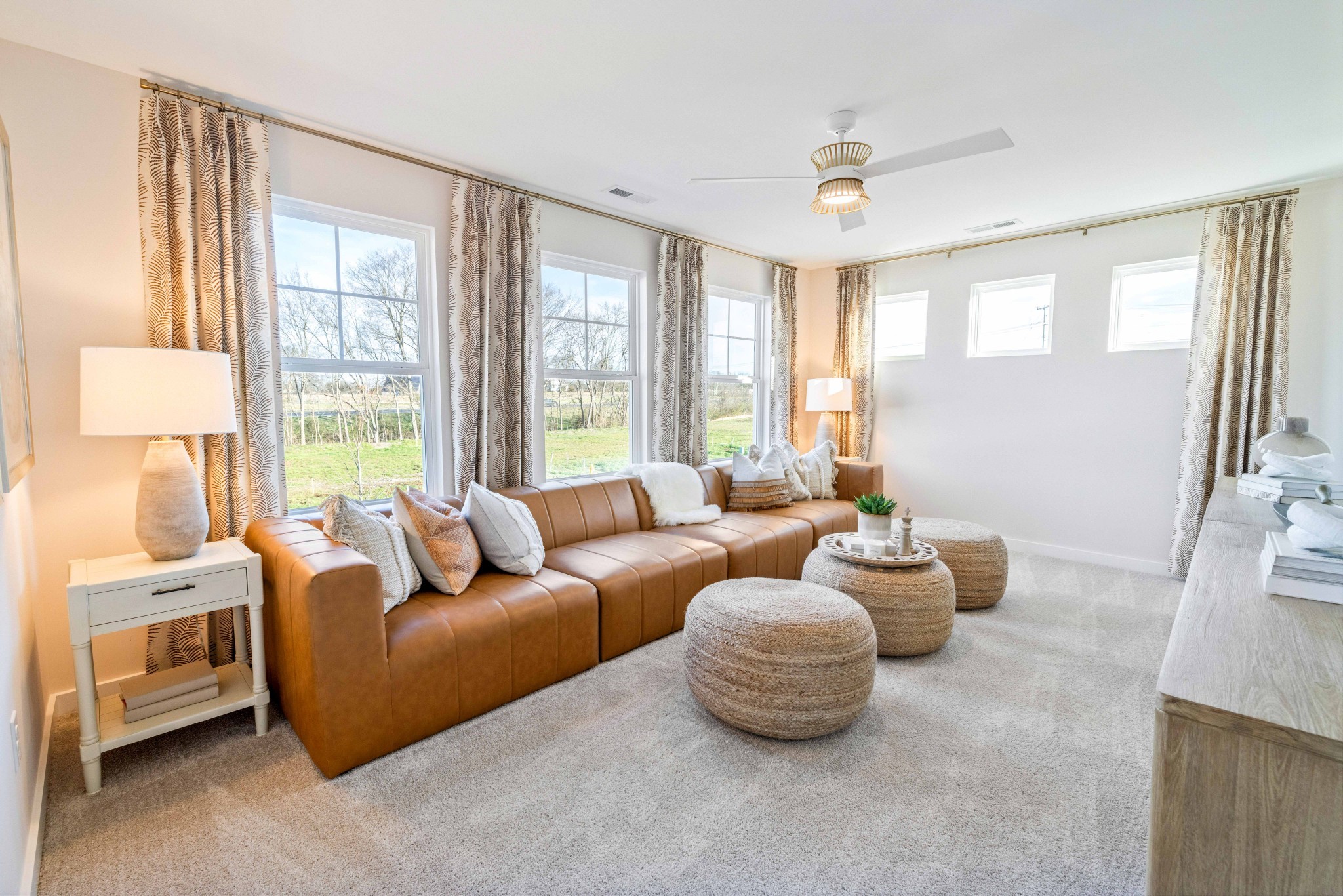 4150 Dream Beetle Loop