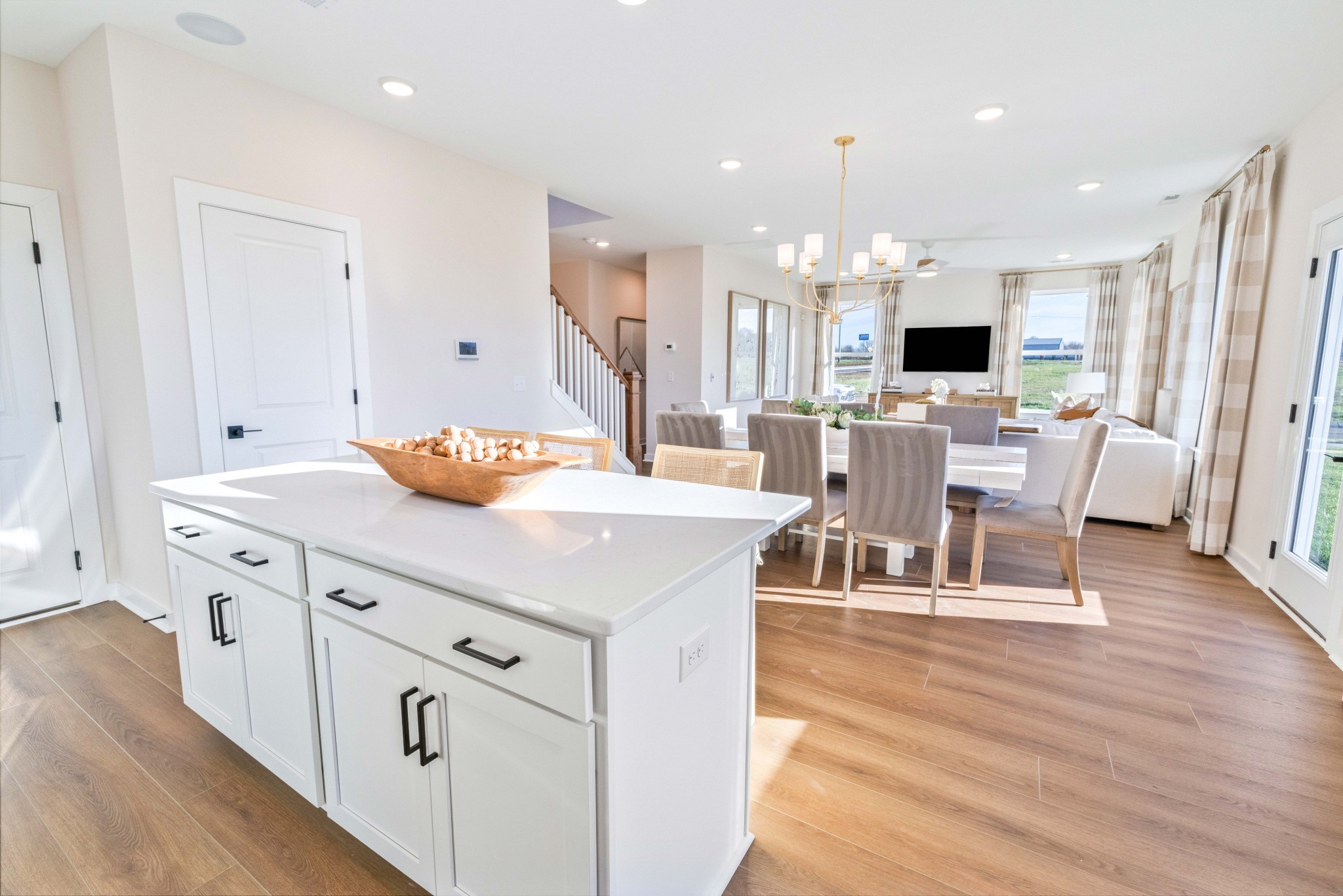 4150 Dream Beetle Loop