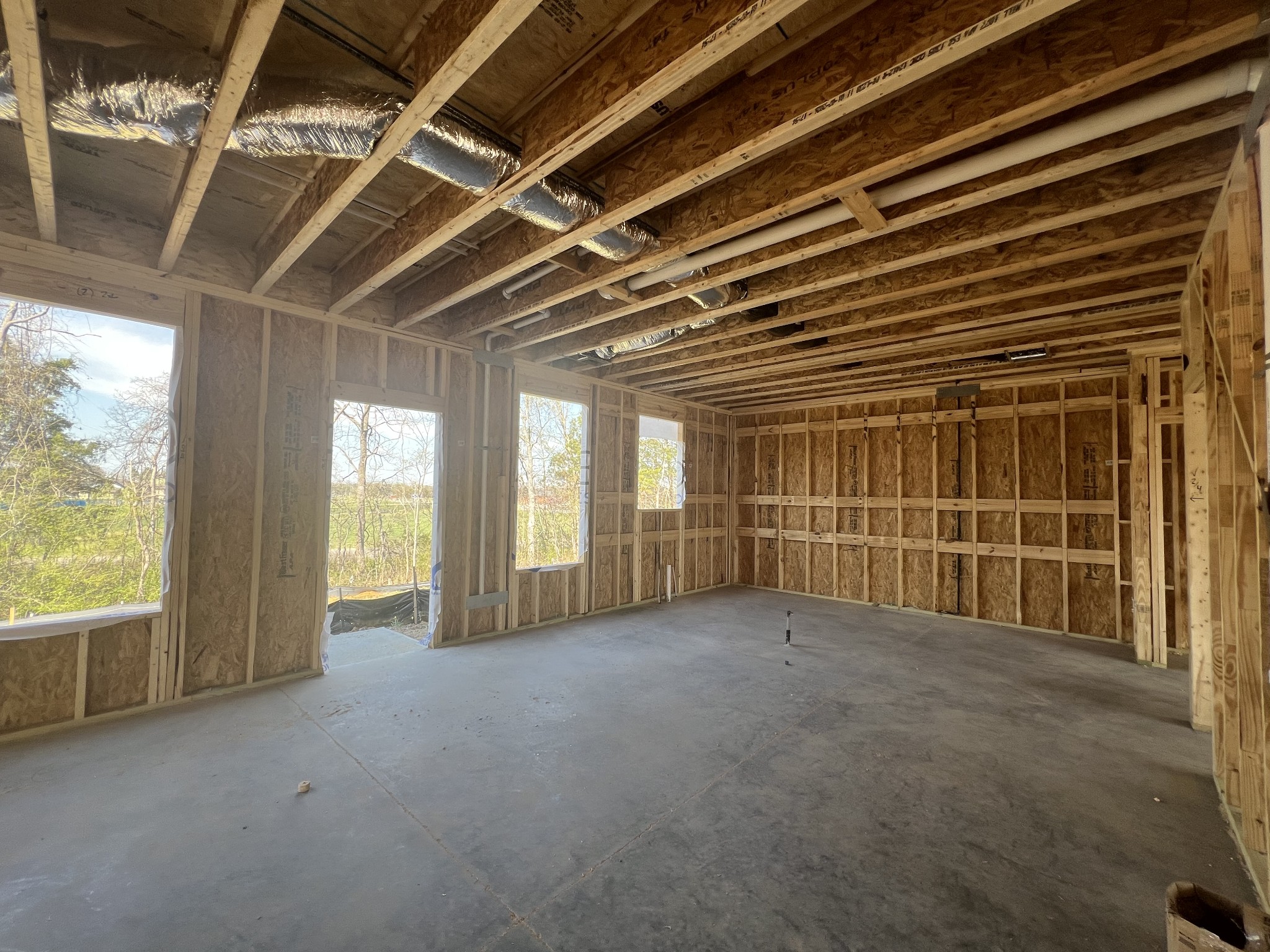 4150 Dream Beetle Loop