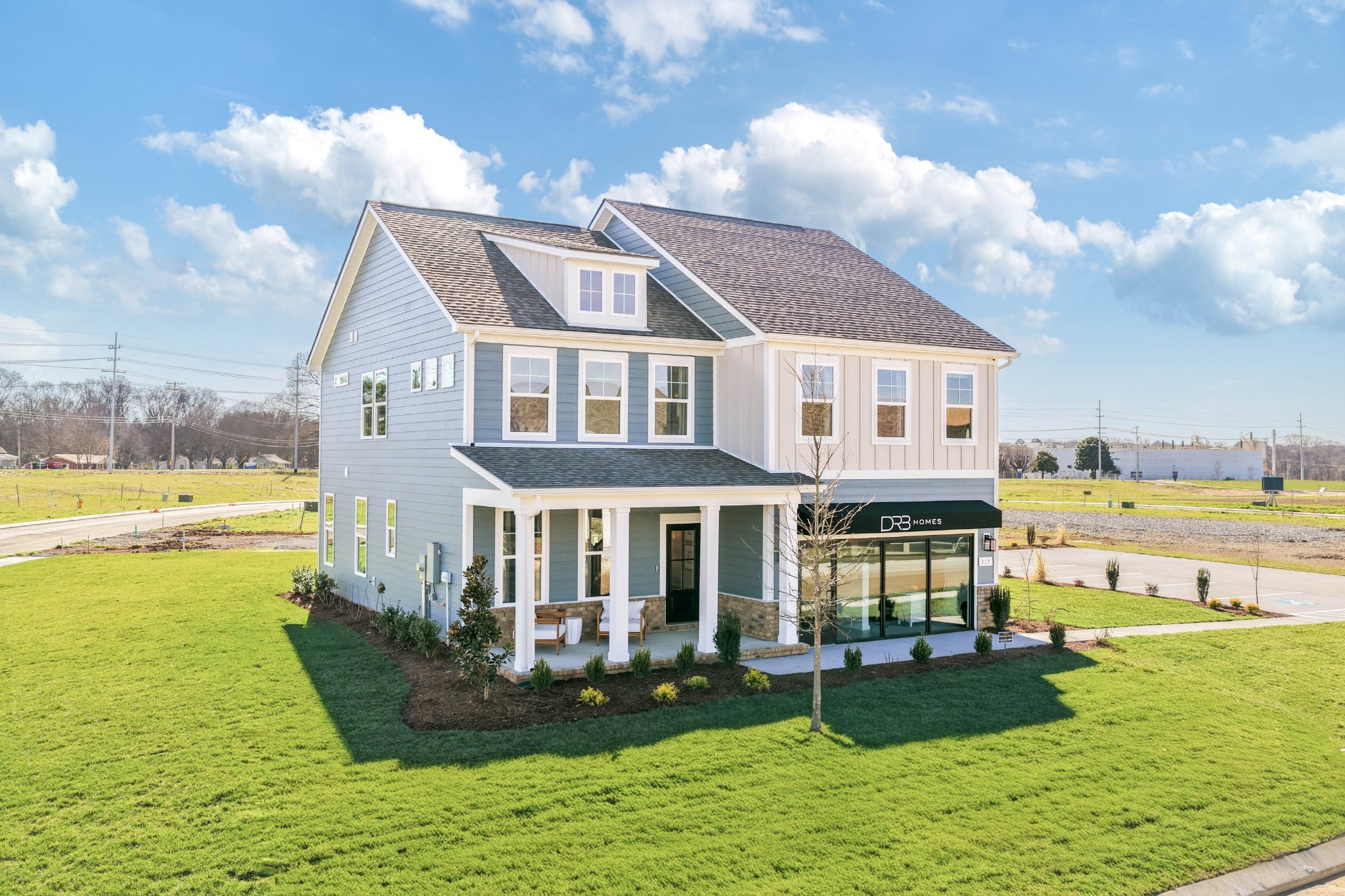 4150 Dream Beetle Loop