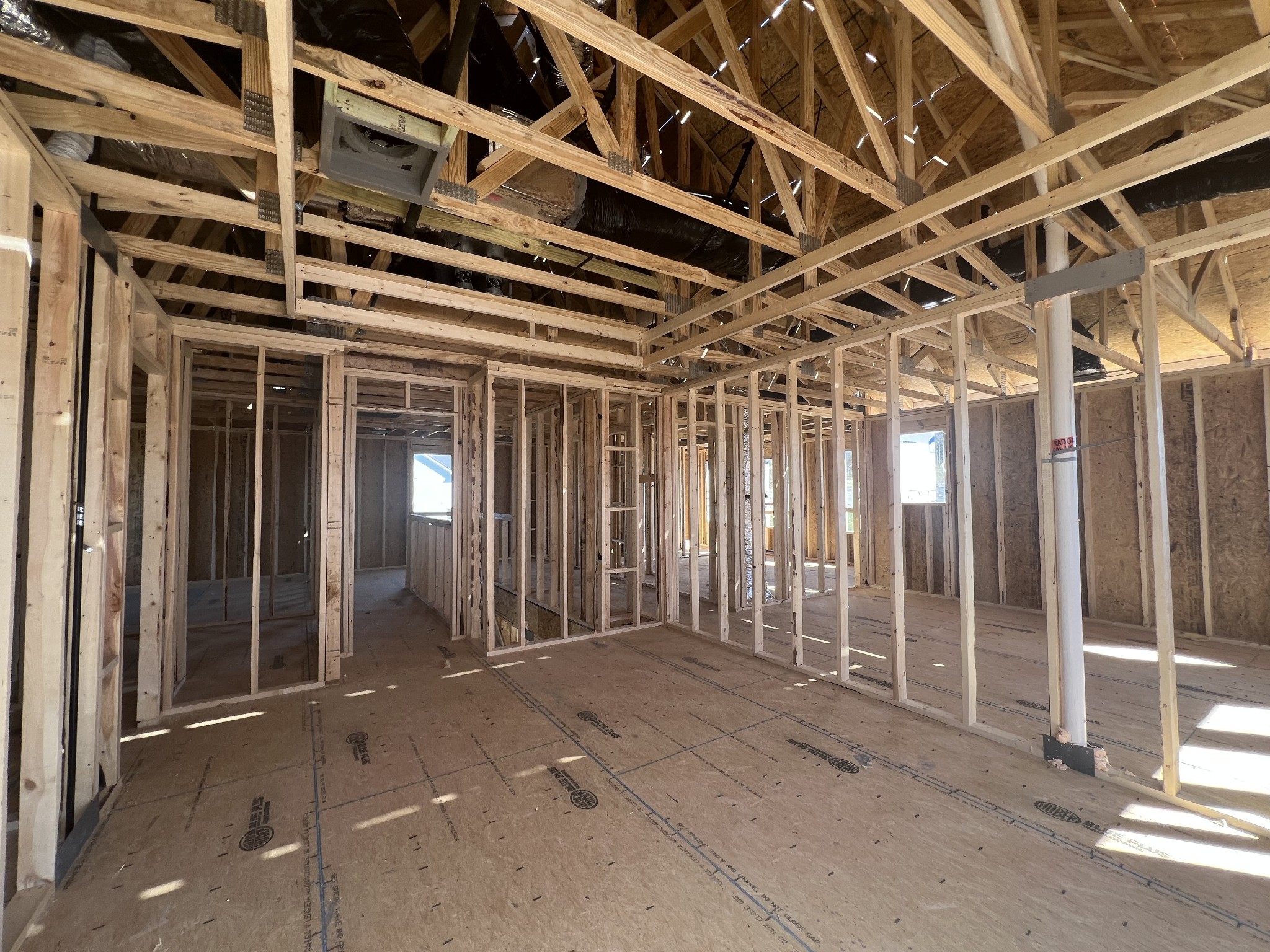 4150 Dream Beetle Loop