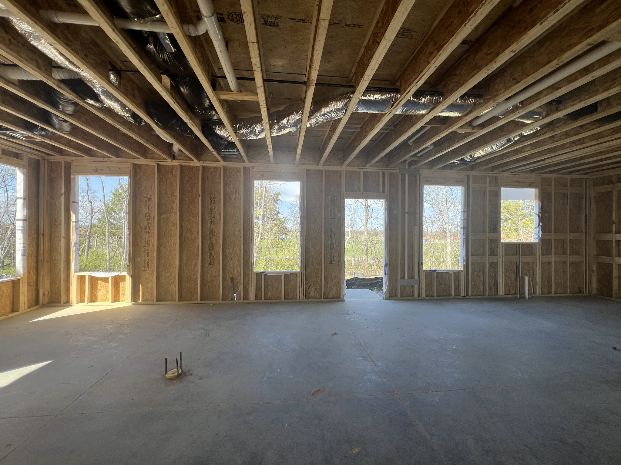 4150 Dream Beetle Loop