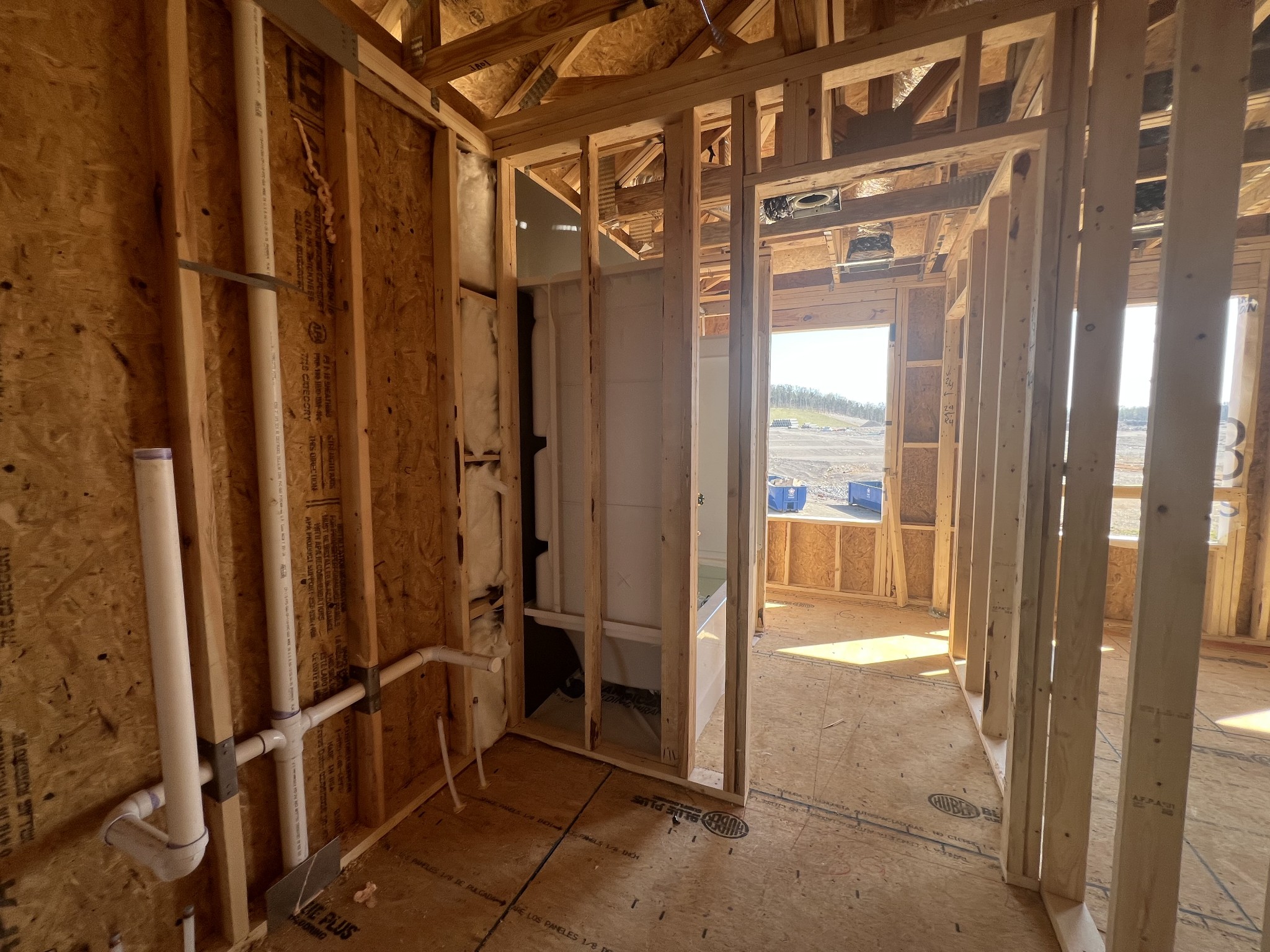 4150 Dream Beetle Loop