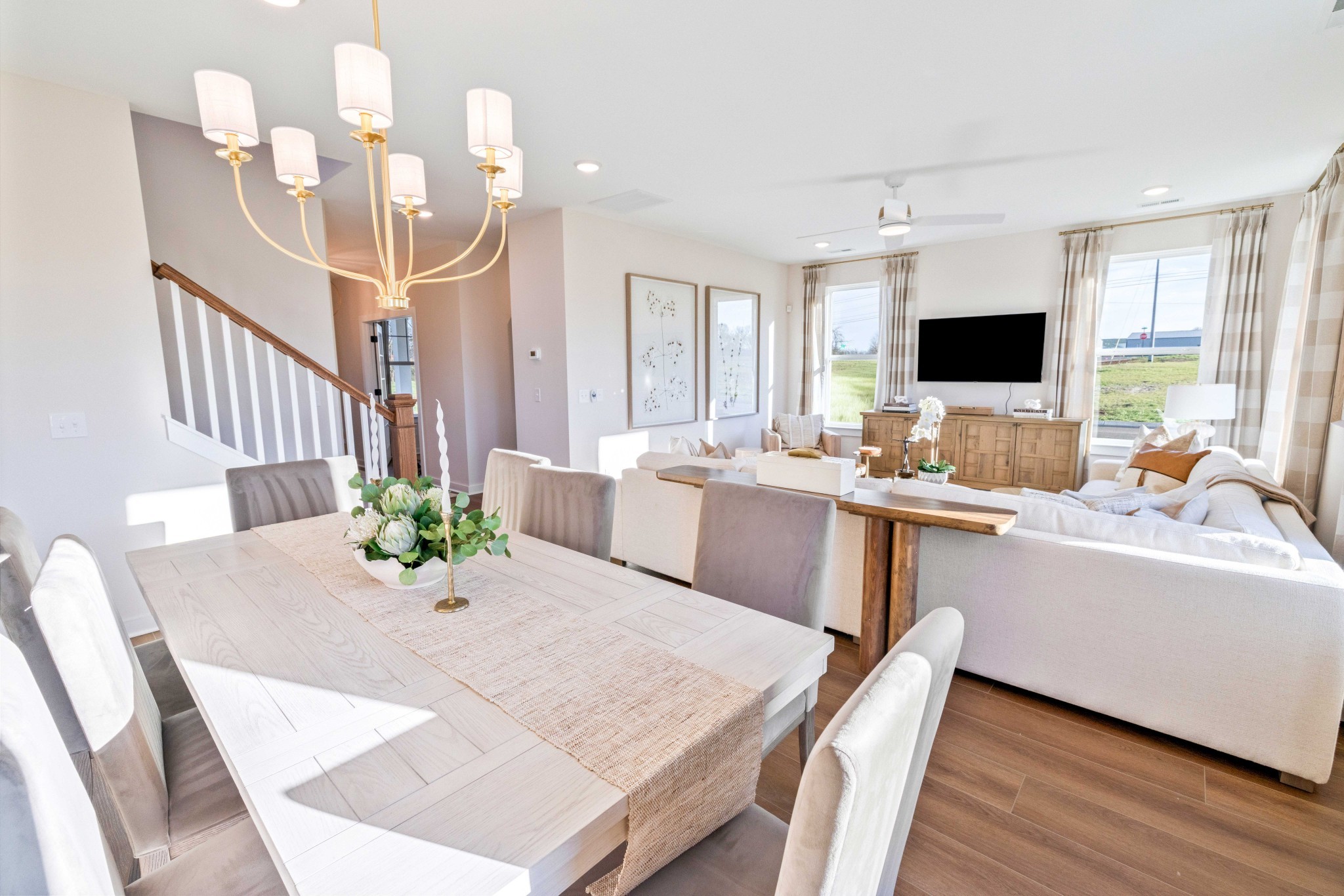 4150 Dream Beetle Loop