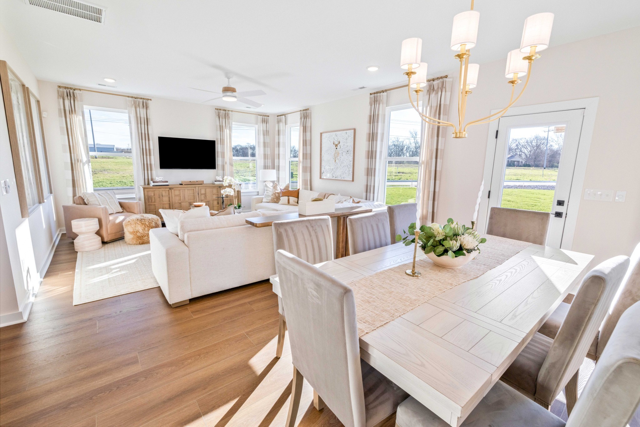 4150 Dream Beetle Loop