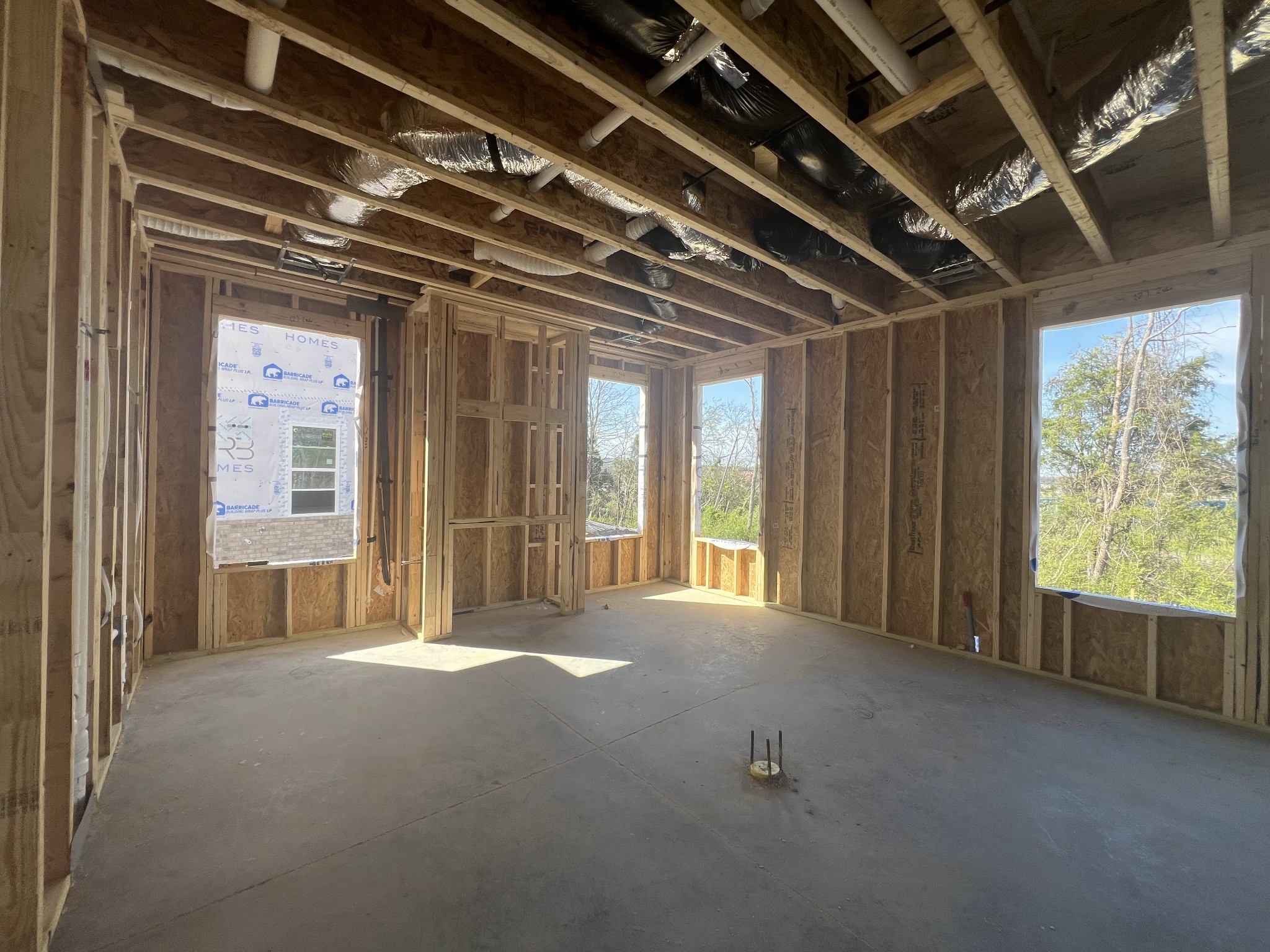 4150 Dream Beetle Loop