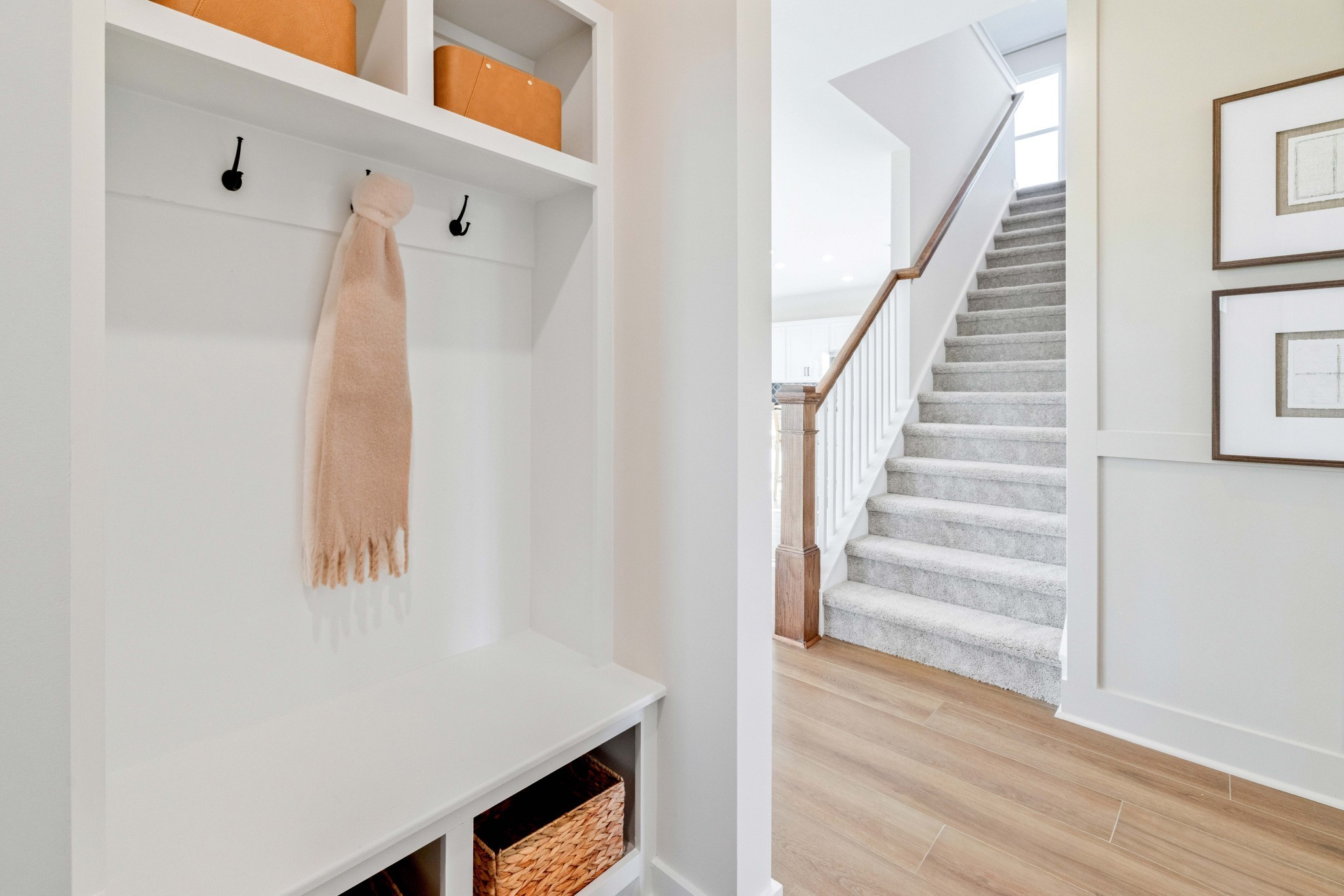 4150 Dream Beetle Loop