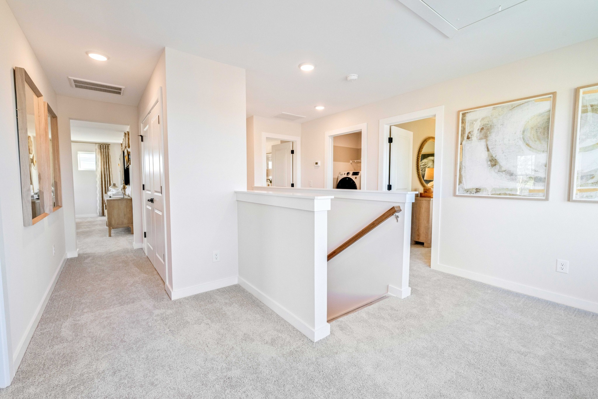 4150 Dream Beetle Loop