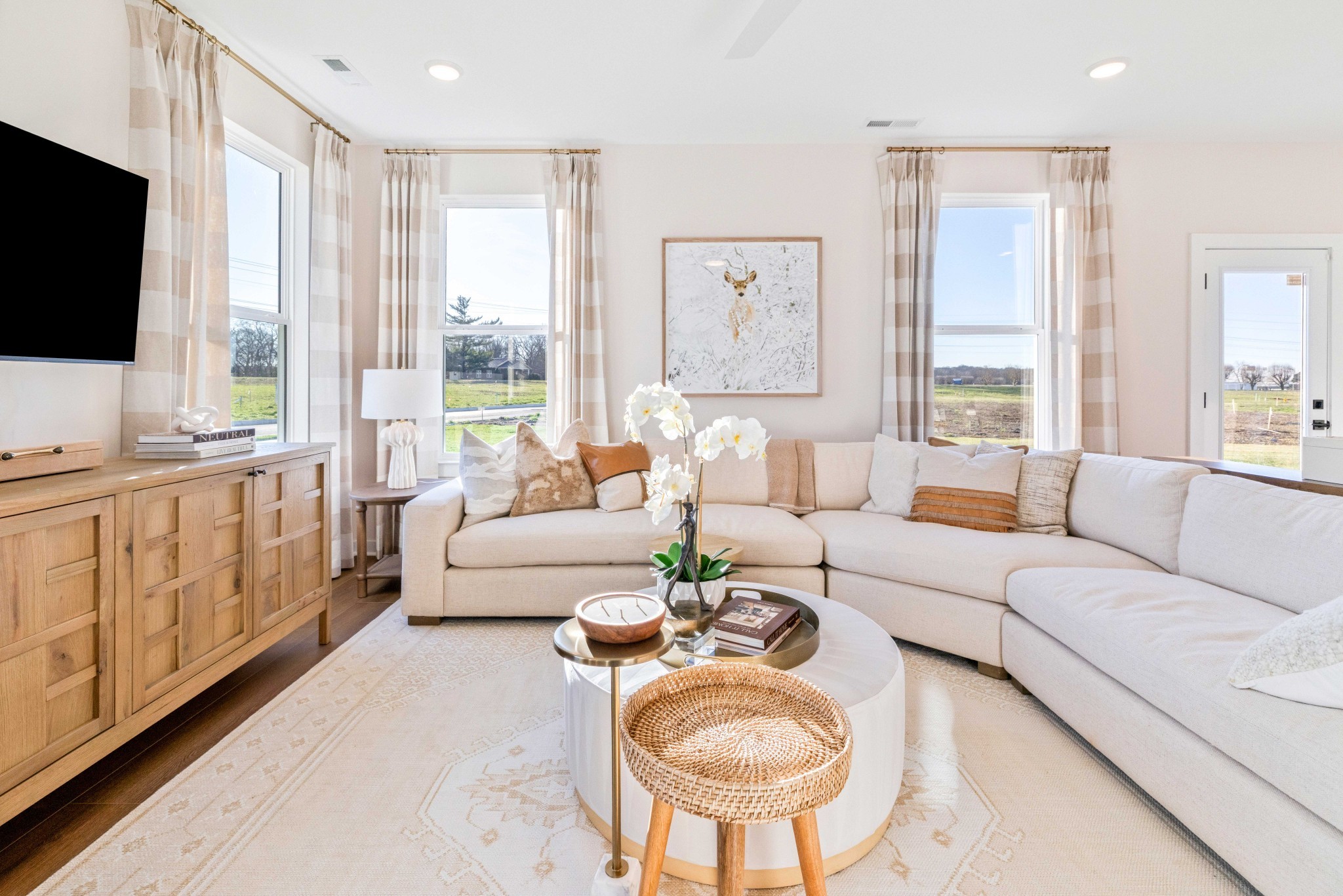 4150 Dream Beetle Loop