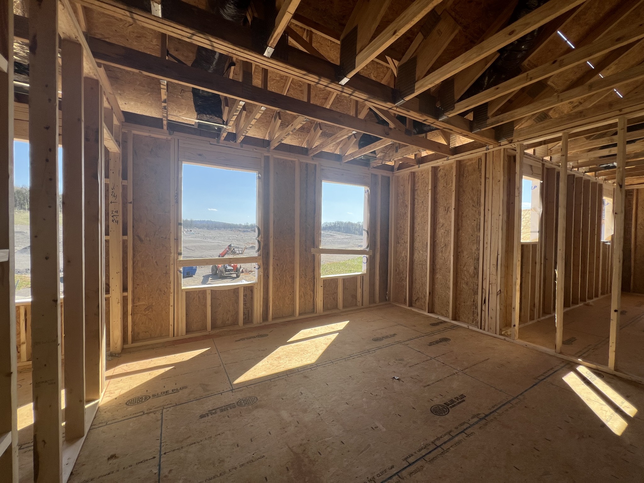 4150 Dream Beetle Loop