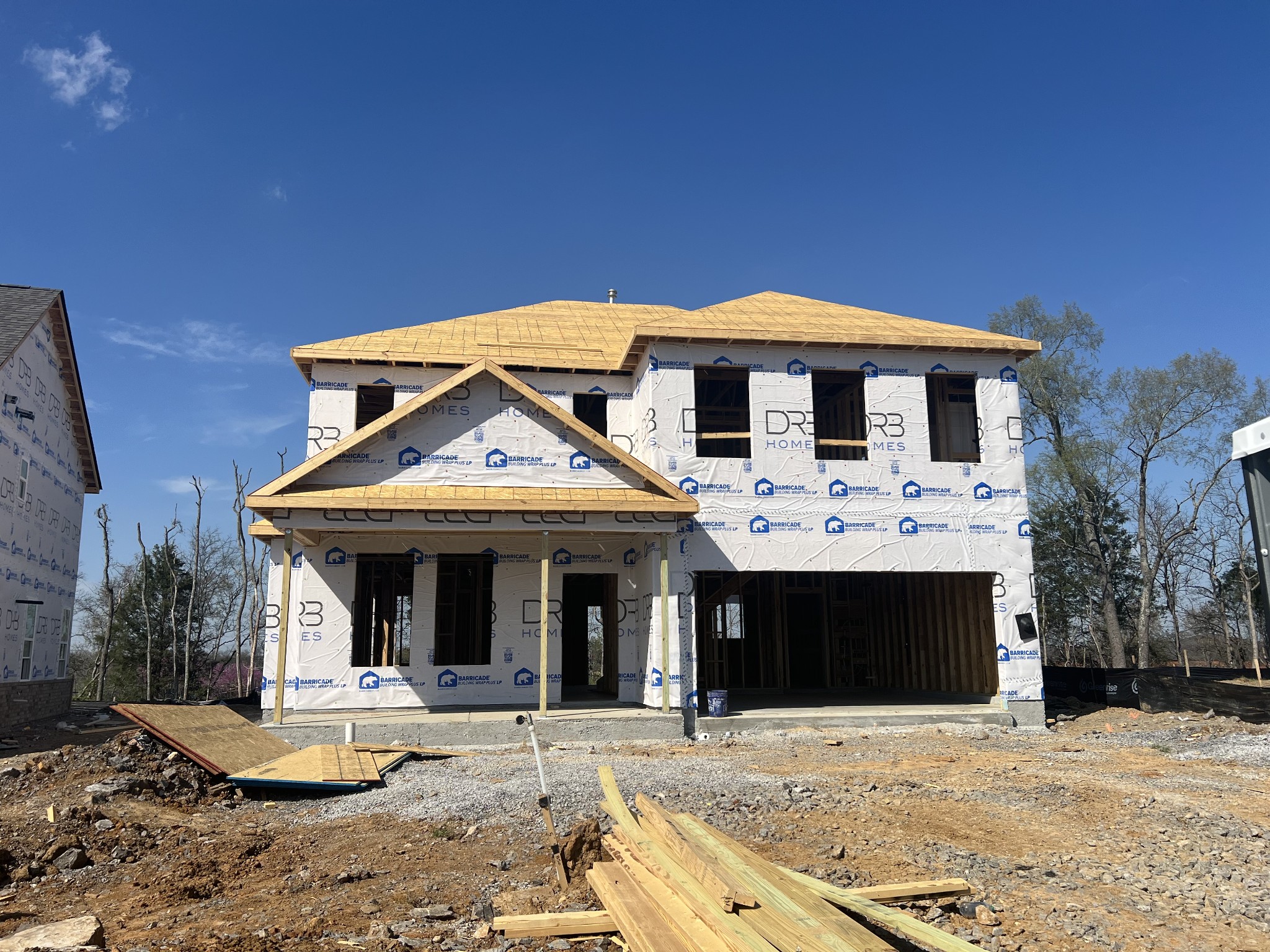 4150 Dream Beetle Loop