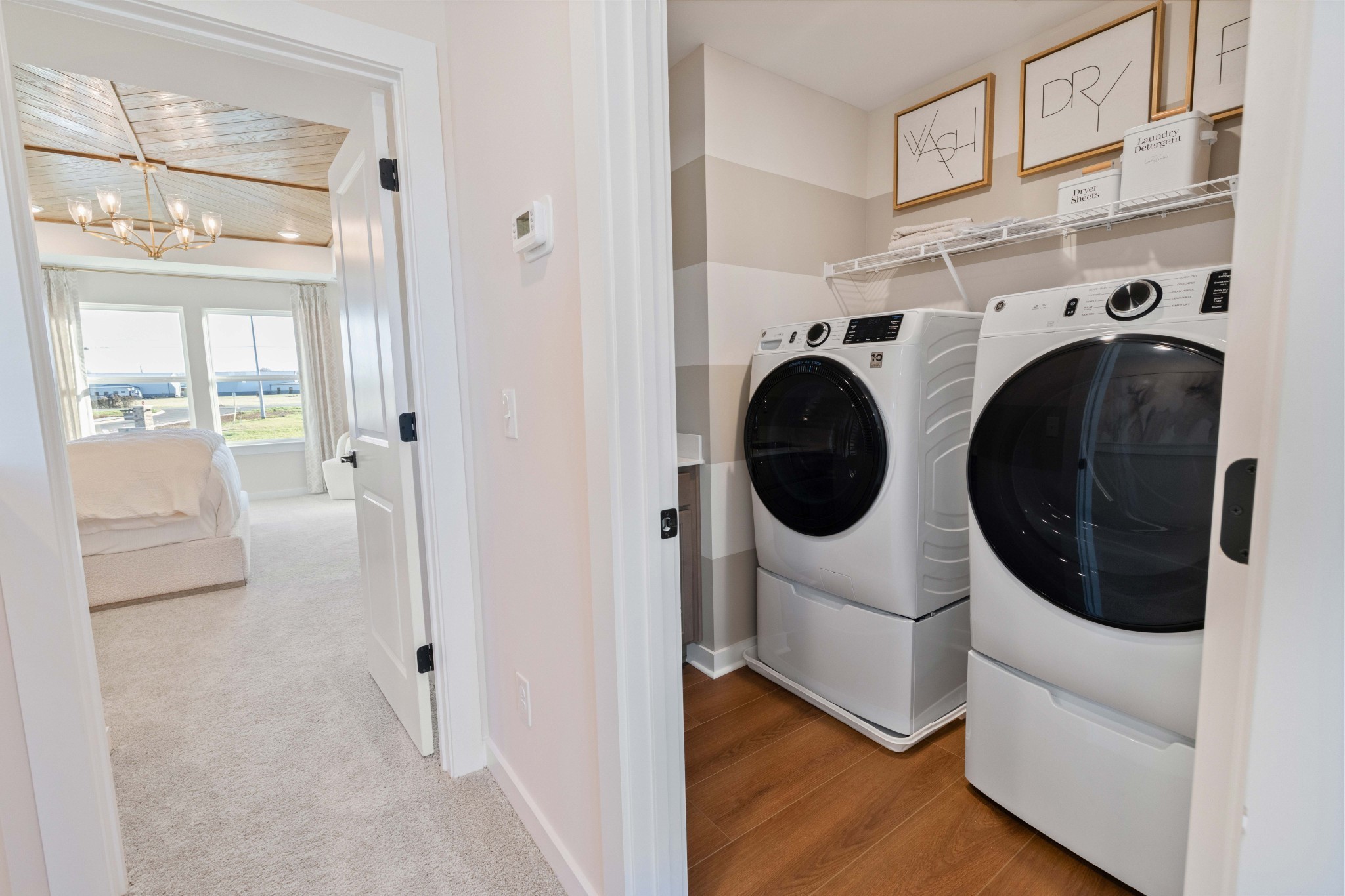 4150 Dream Beetle Loop