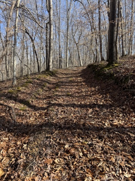 0 Old Hwy 96