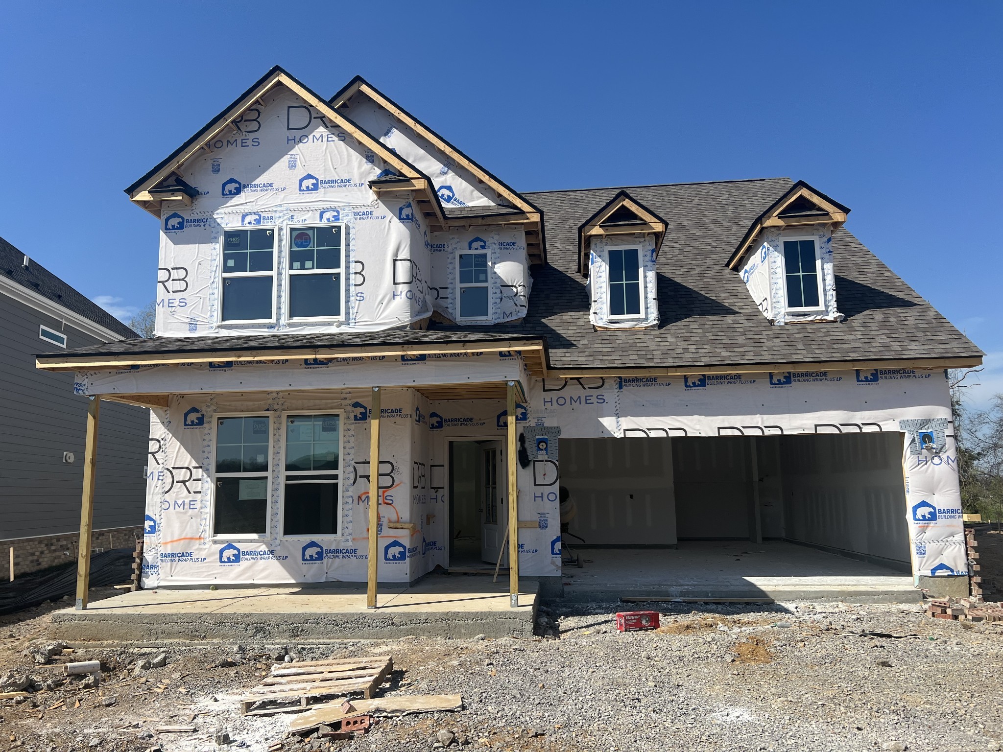 4154 Dream Beetle Loop