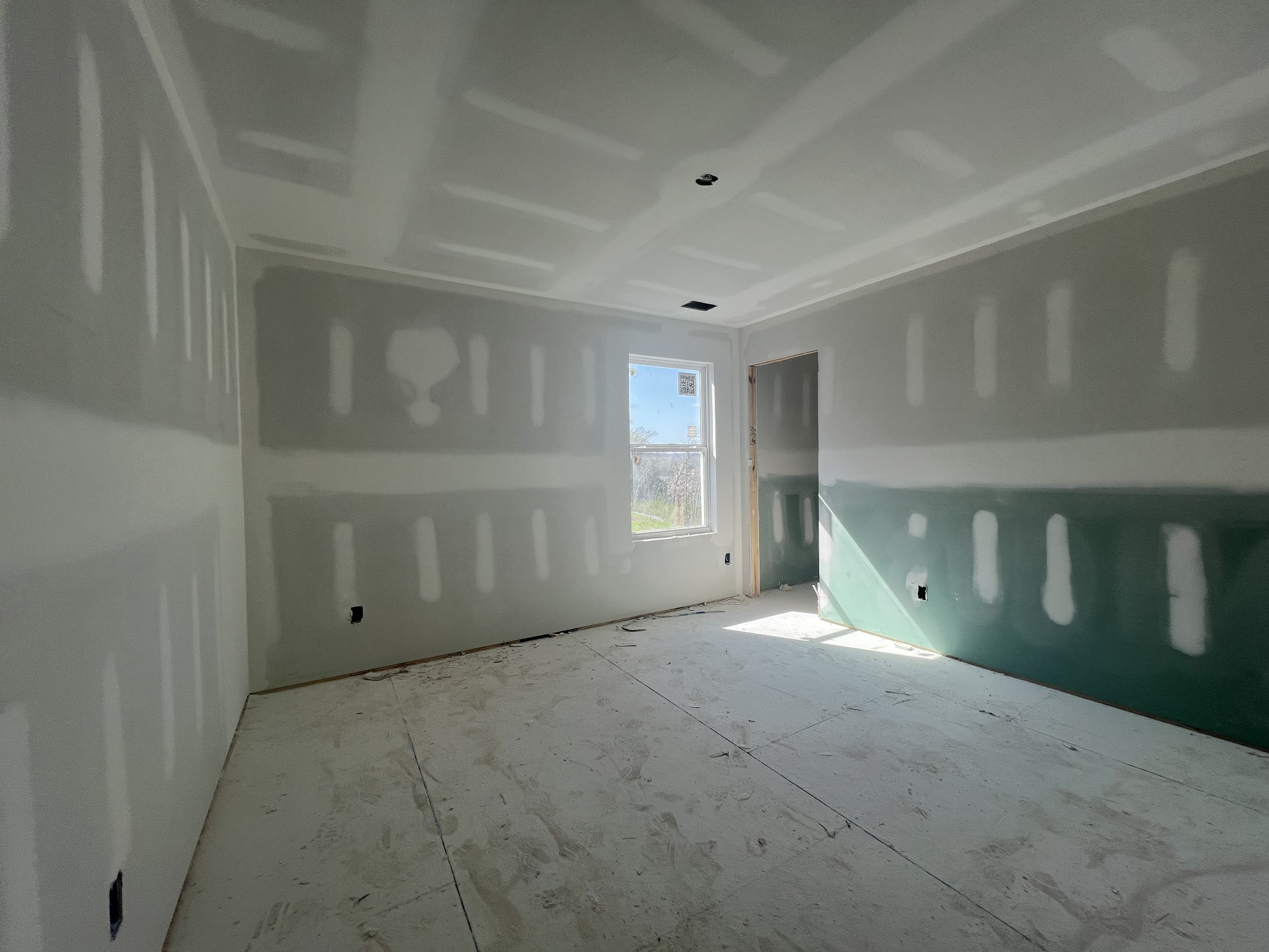 4154 Dream Beetle Loop