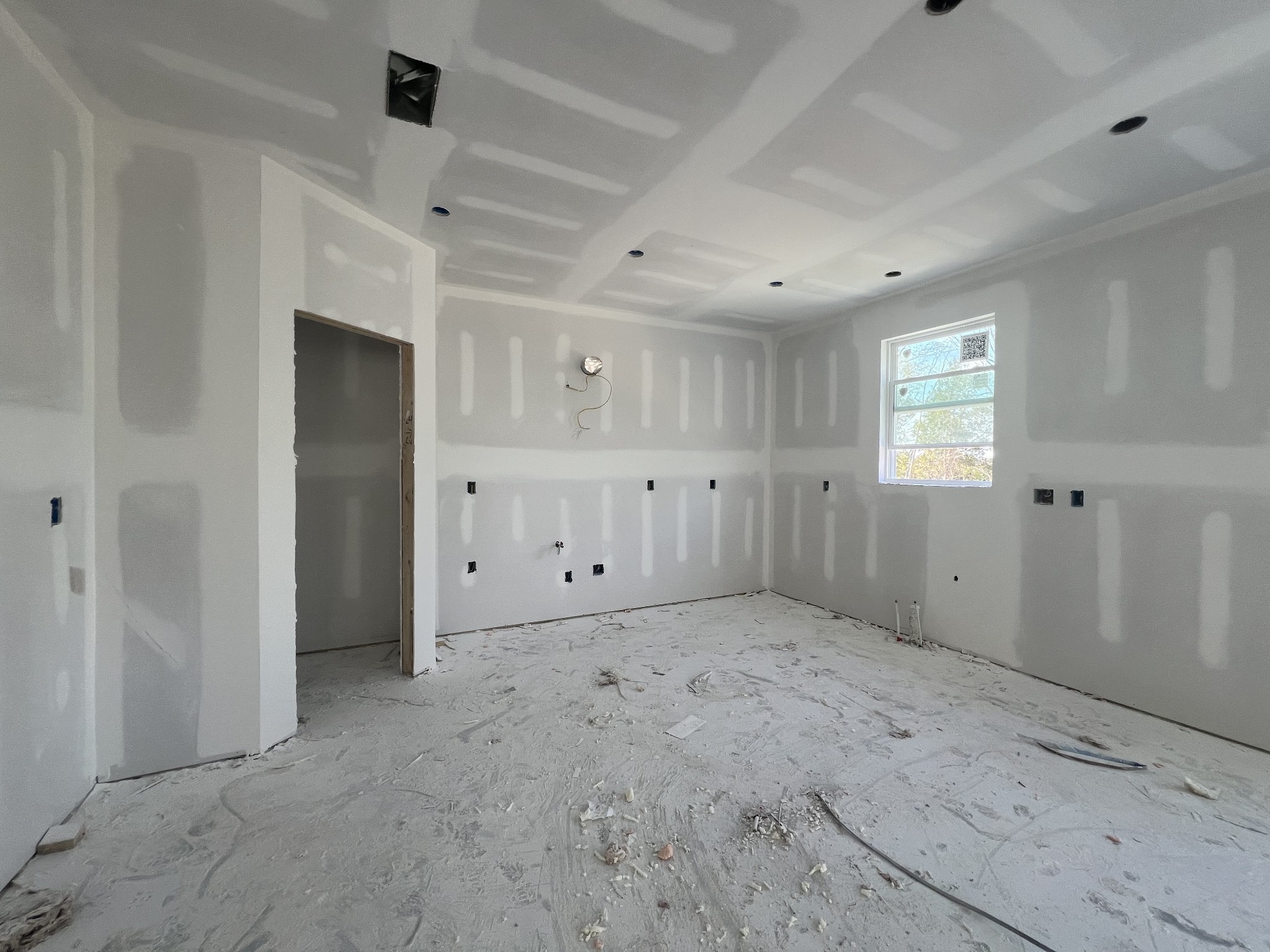 4154 Dream Beetle Loop