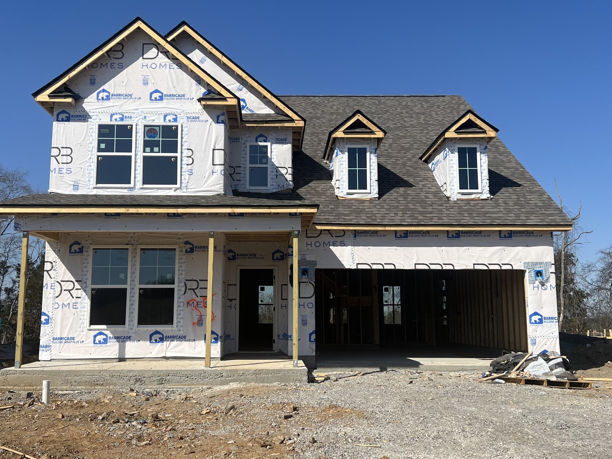 4154 Dream Beetle Loop