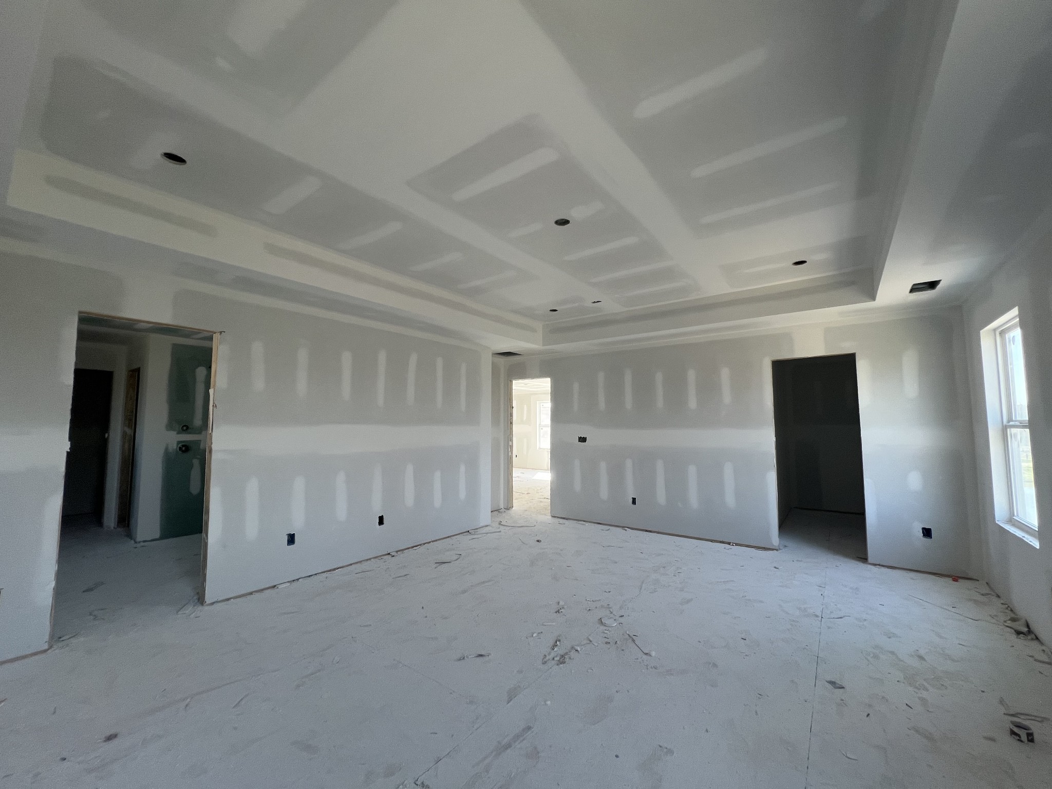 4154 Dream Beetle Loop