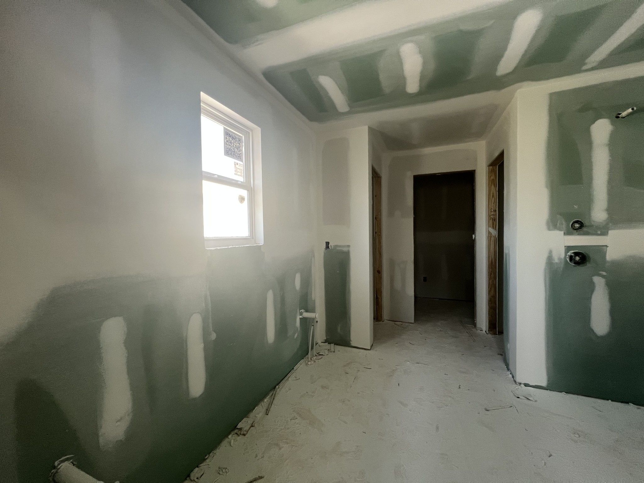 4154 Dream Beetle Loop