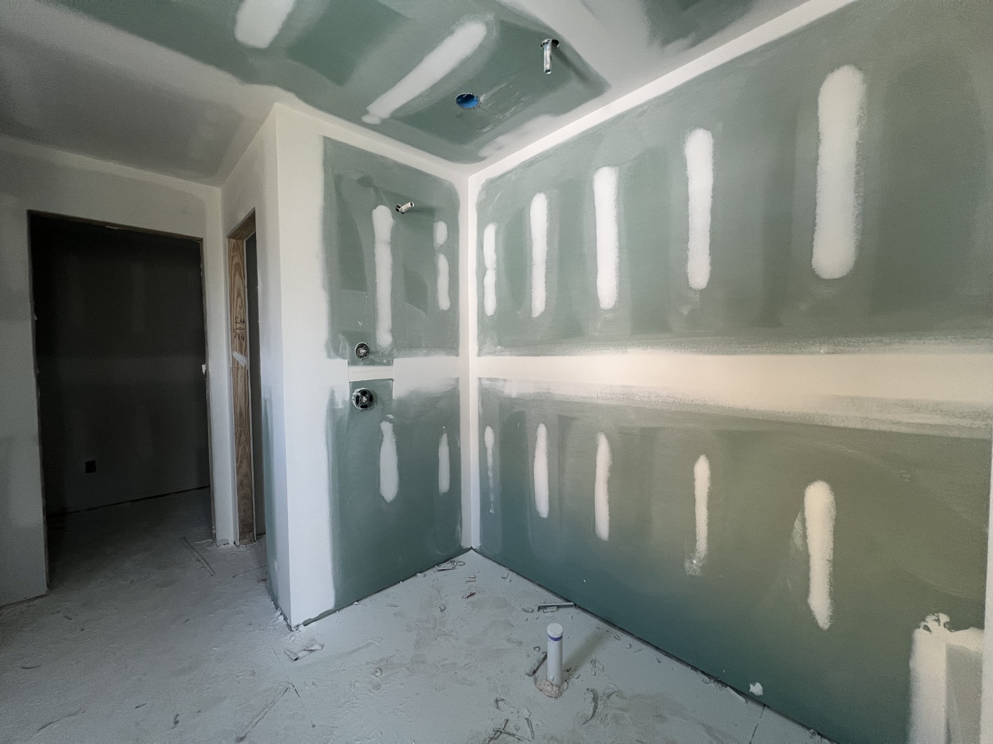 4154 Dream Beetle Loop