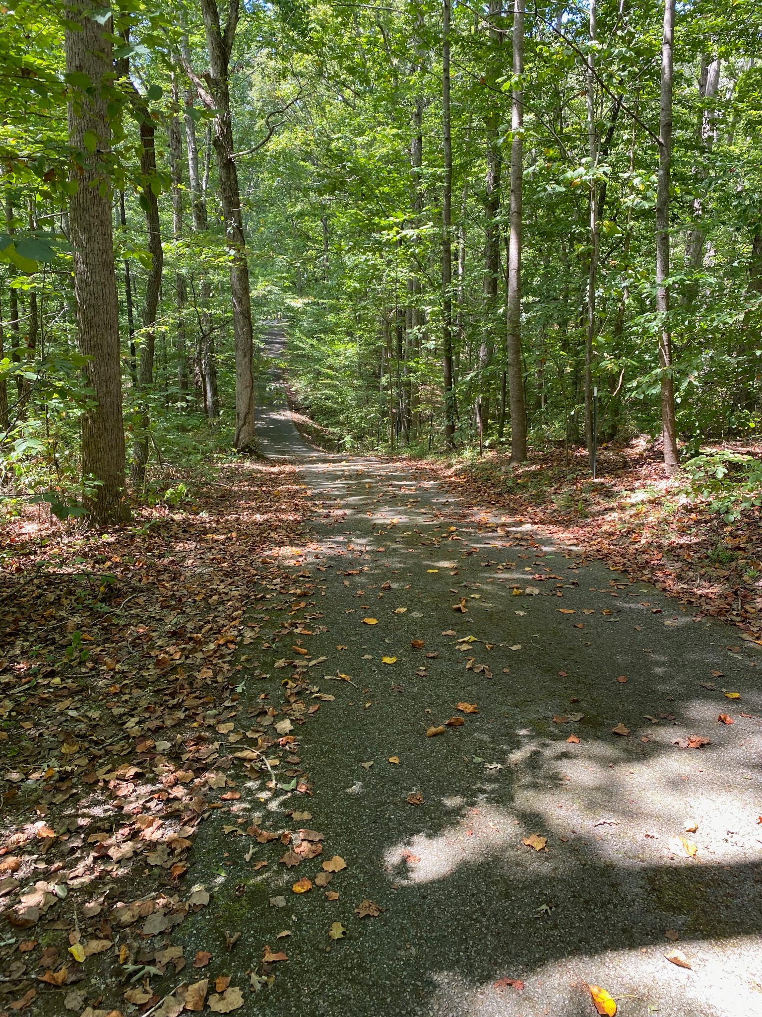 936 Mount Pleasant Rd