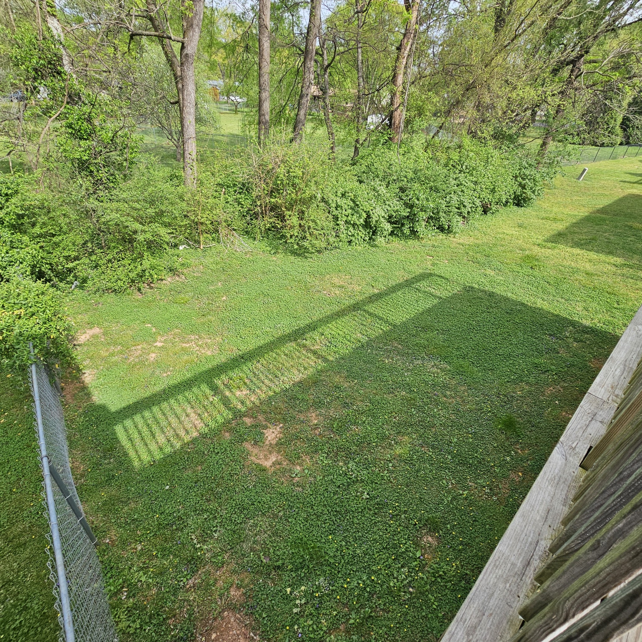 1023 Silver Point Dr