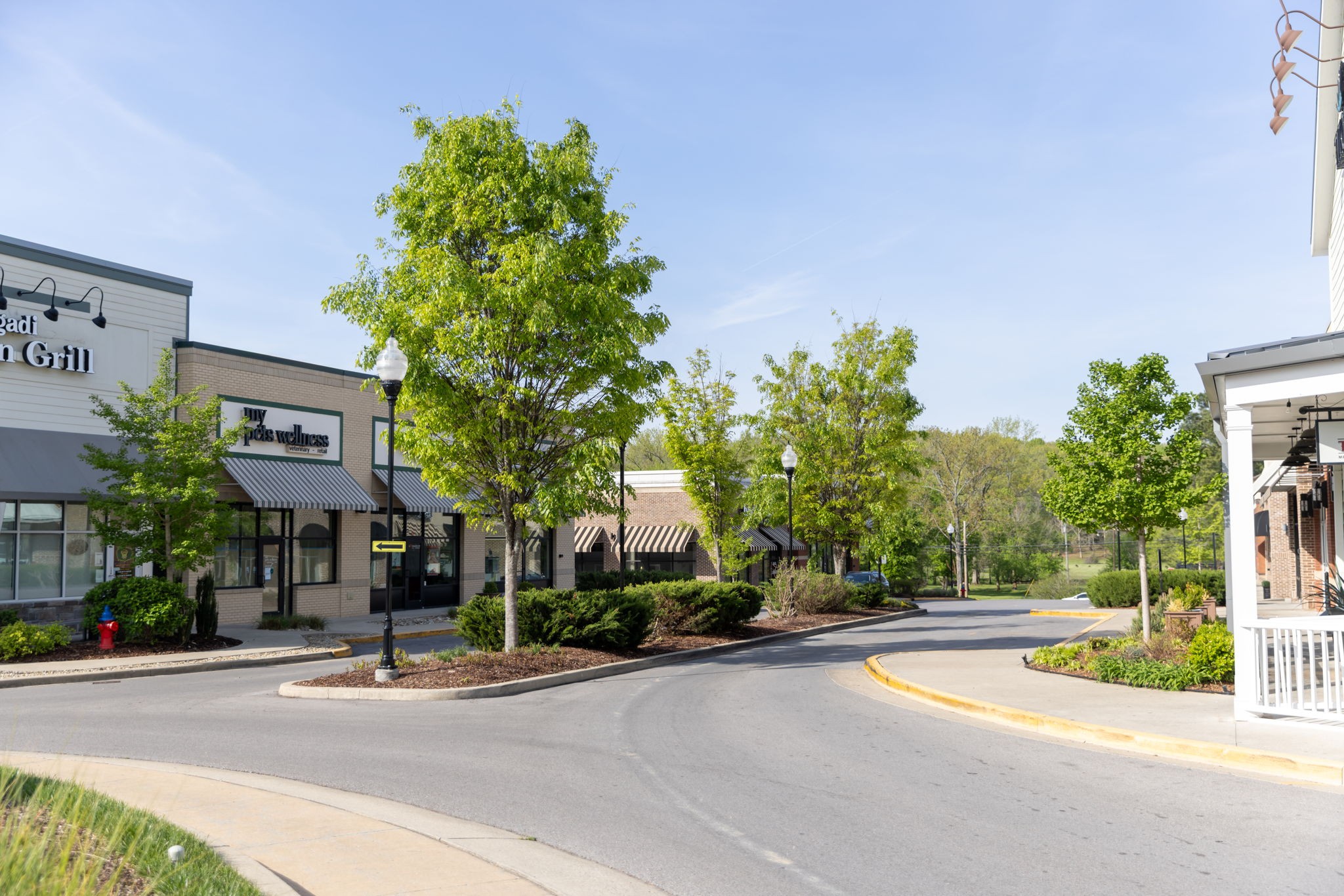 135 Burkitt Commons Ave