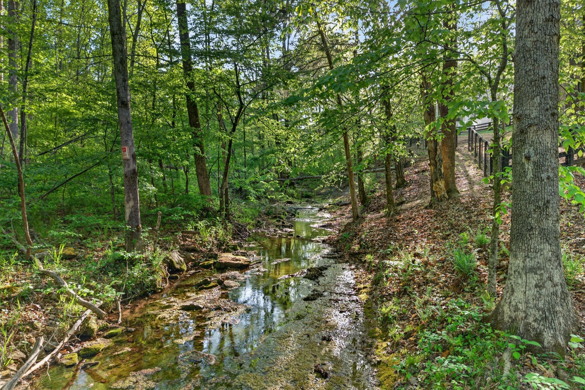 7176 Kyles Creek Dr