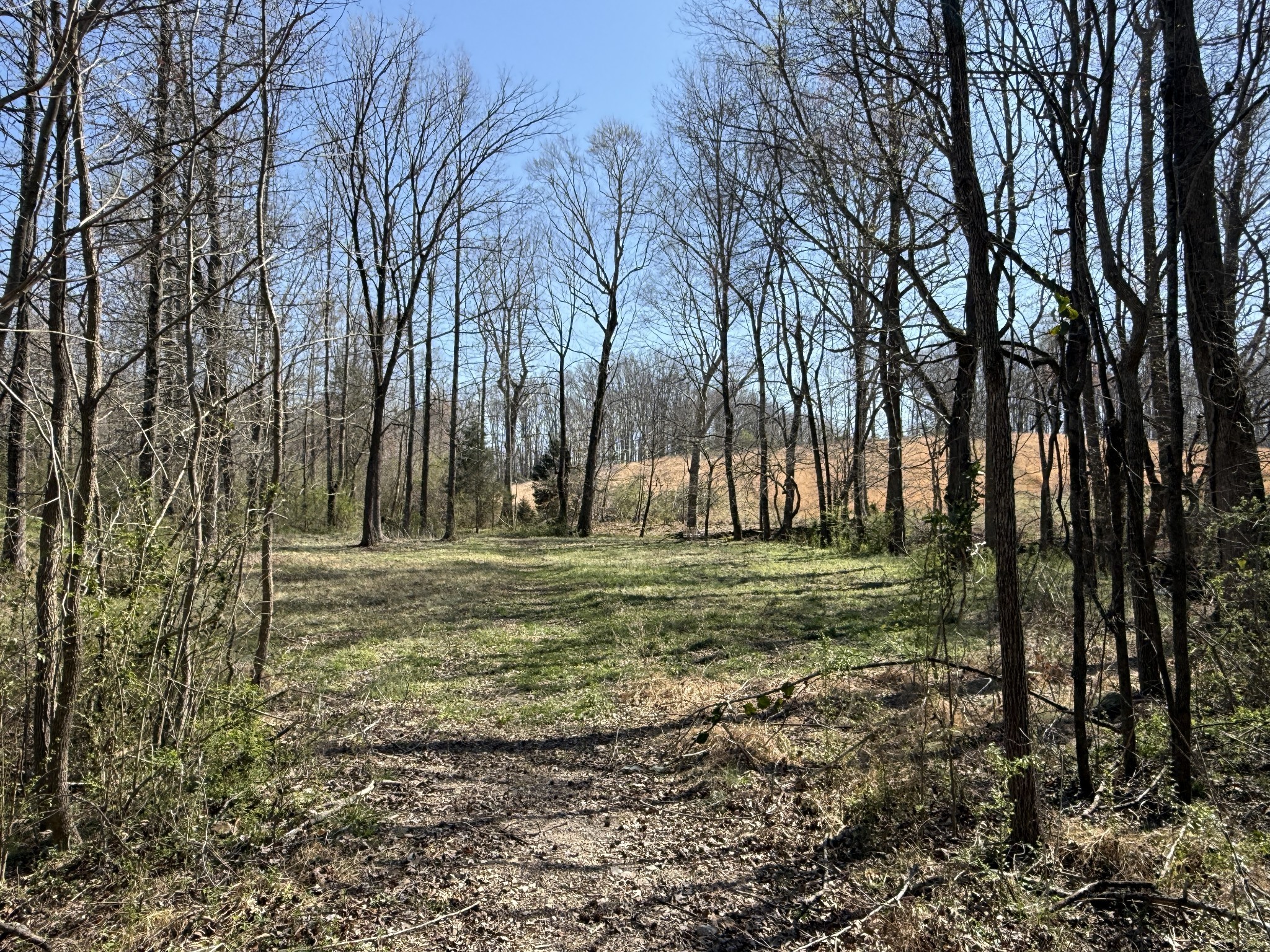 181 Ramah Rd