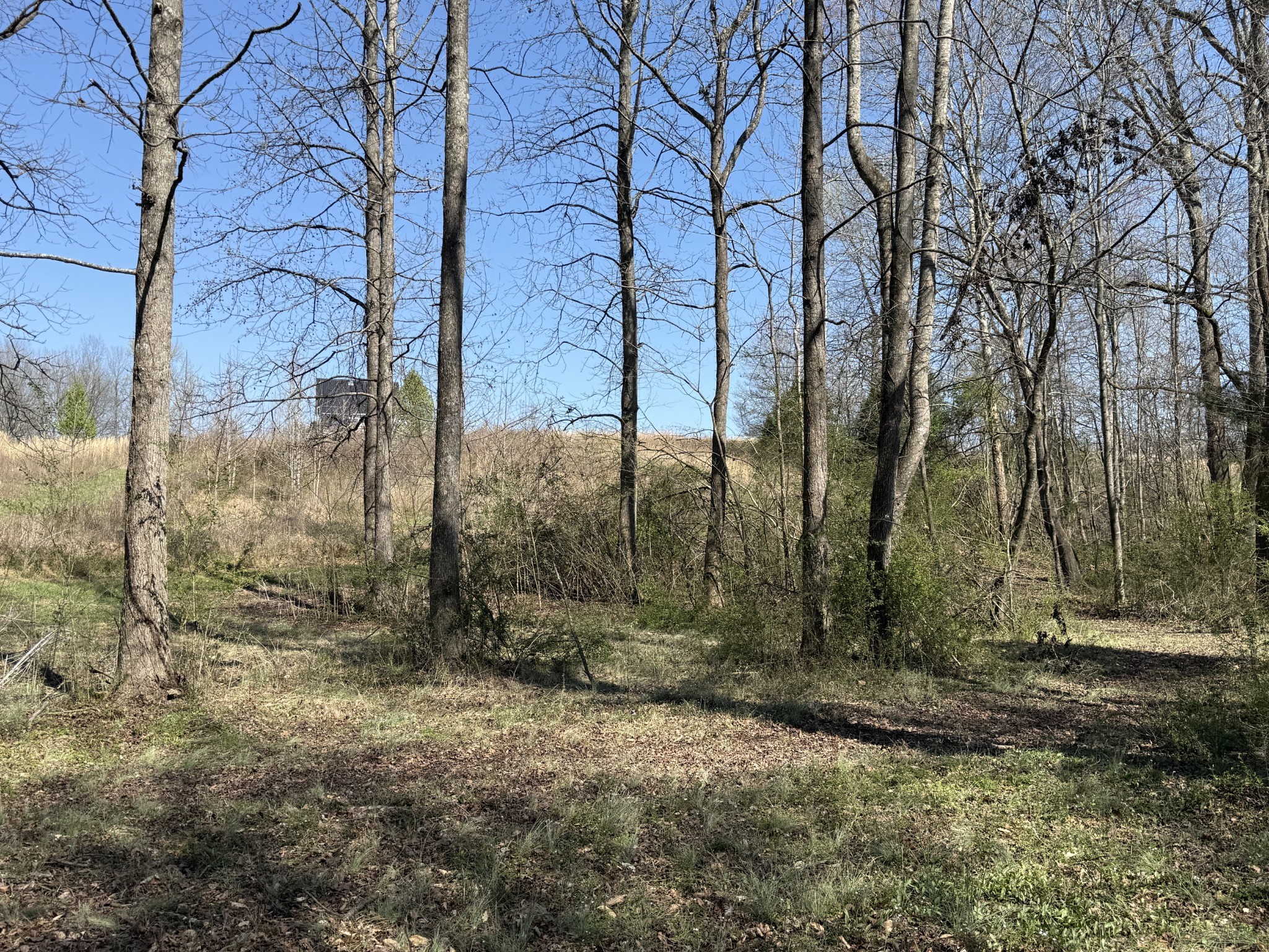 181 Ramah Rd