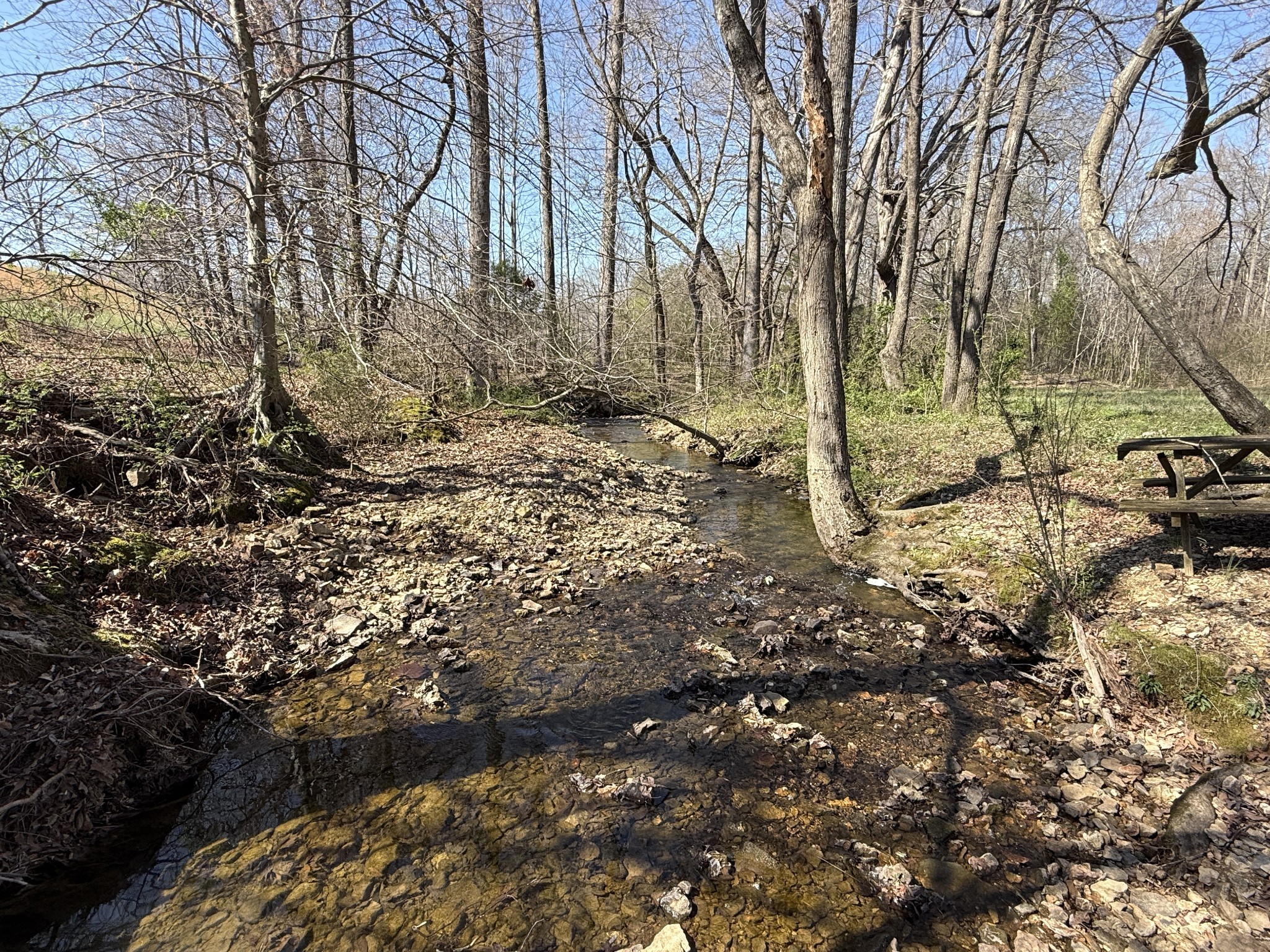181 Ramah Rd