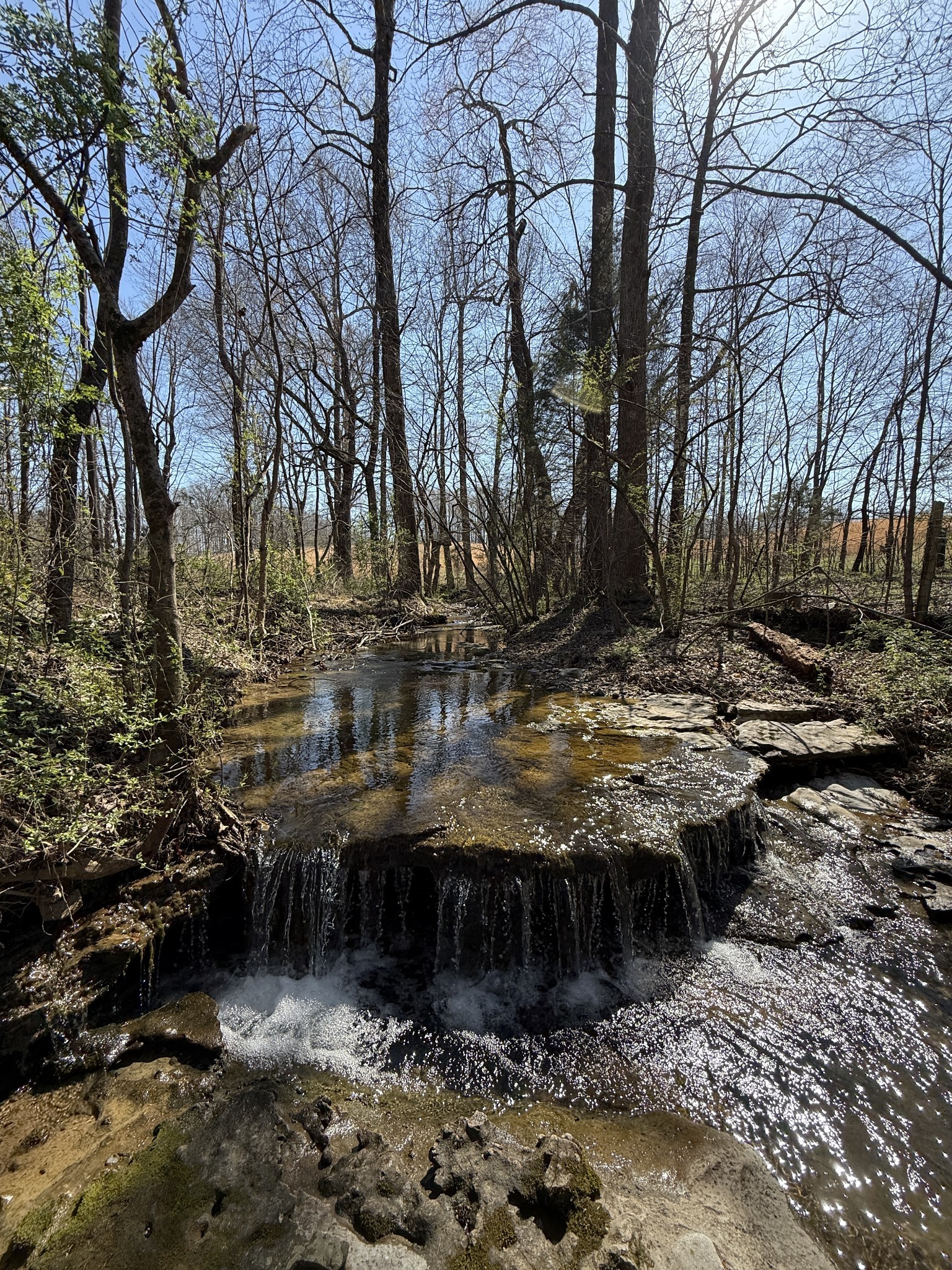 181 Ramah Rd