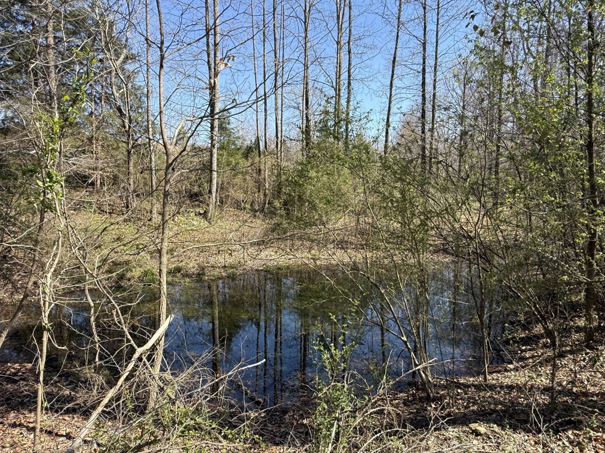 181 Ramah Rd