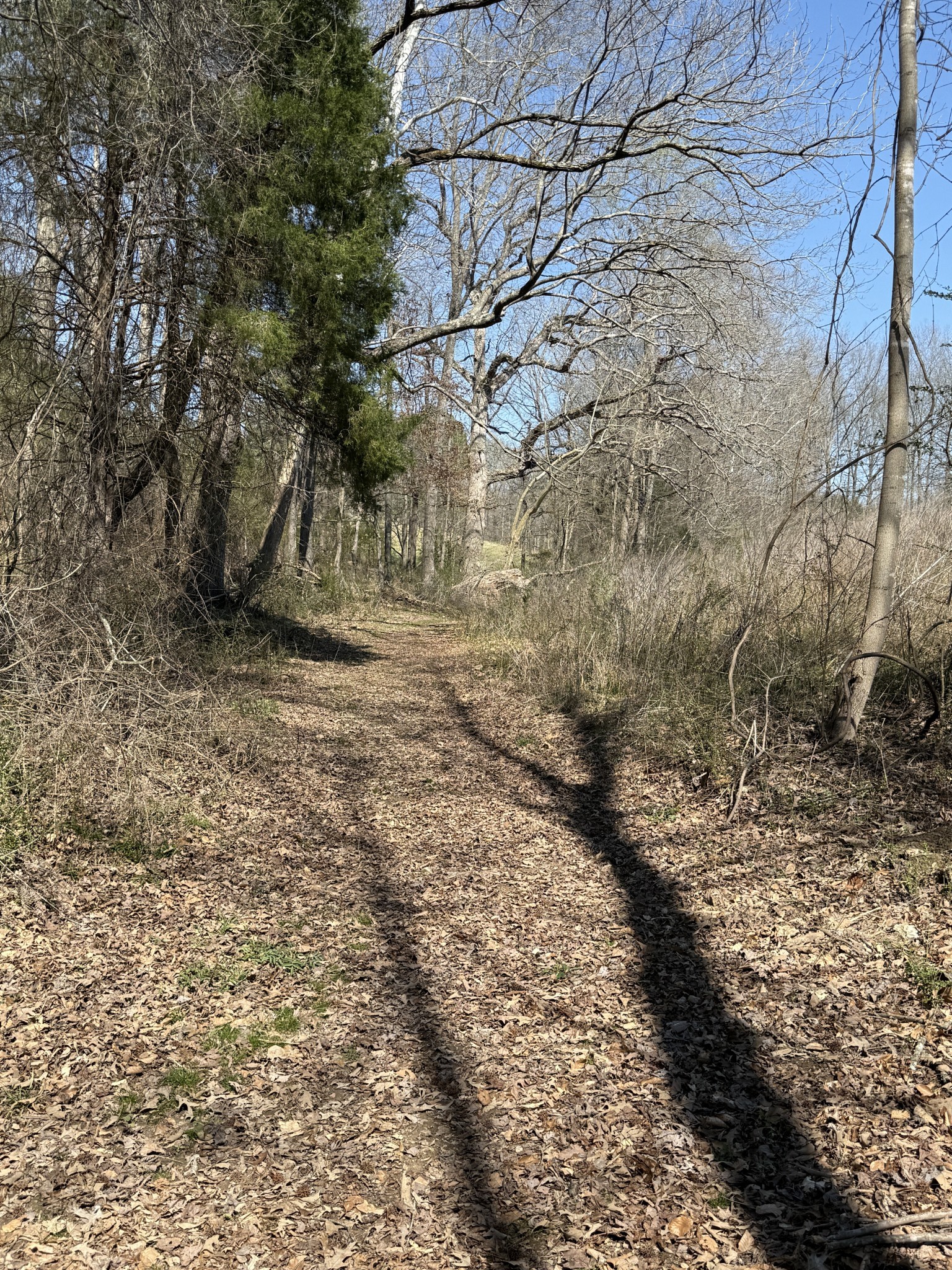 181 Ramah Rd