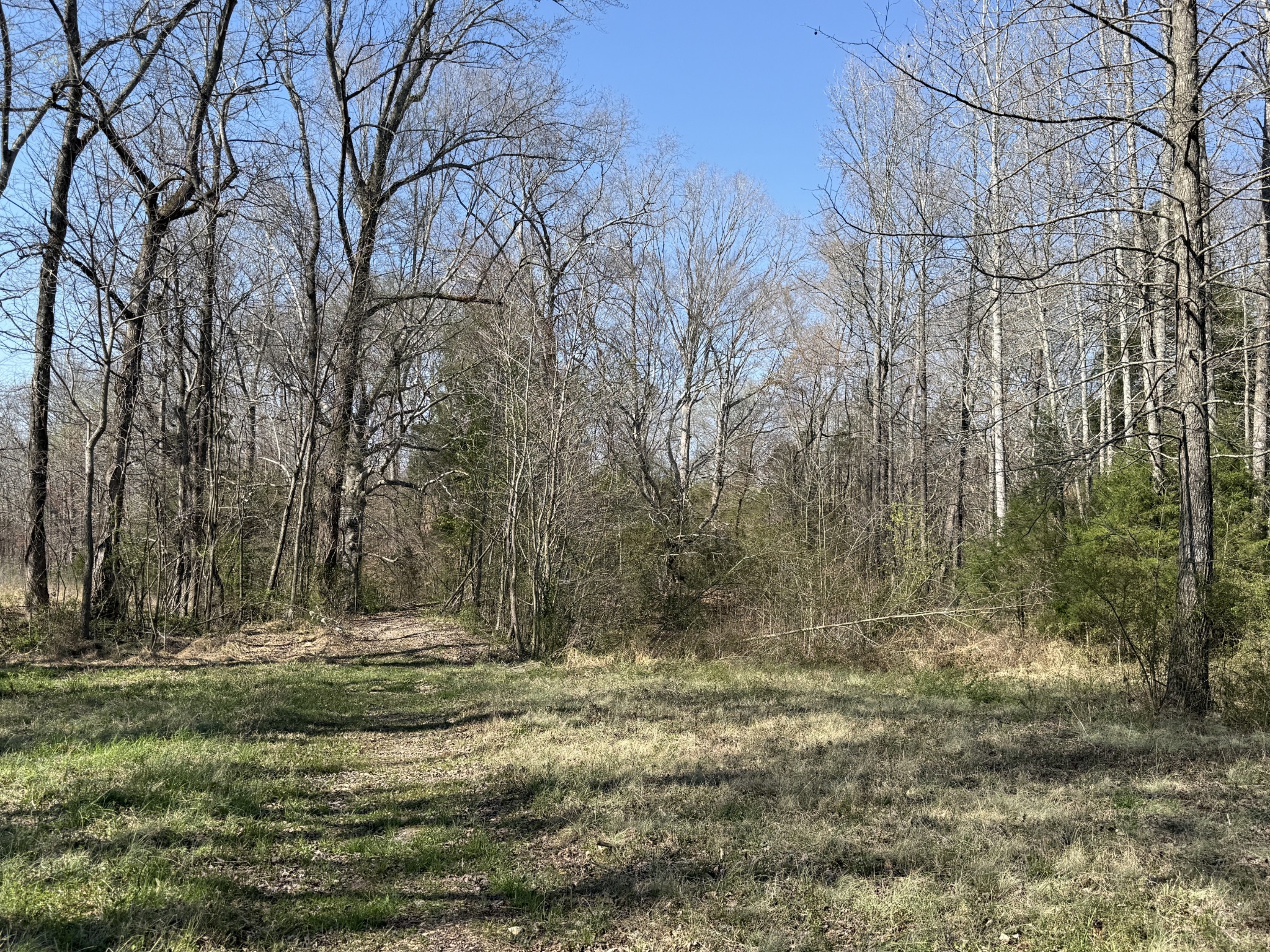 181 Ramah Rd